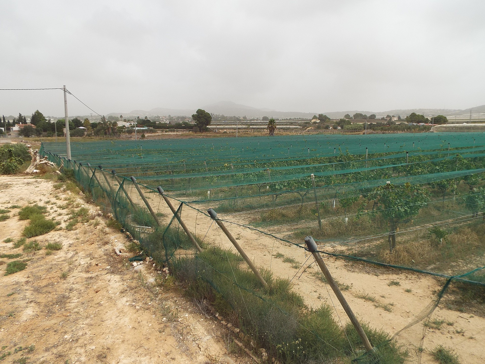 Resale - Land in Monforte Del Cid -  - Alicante