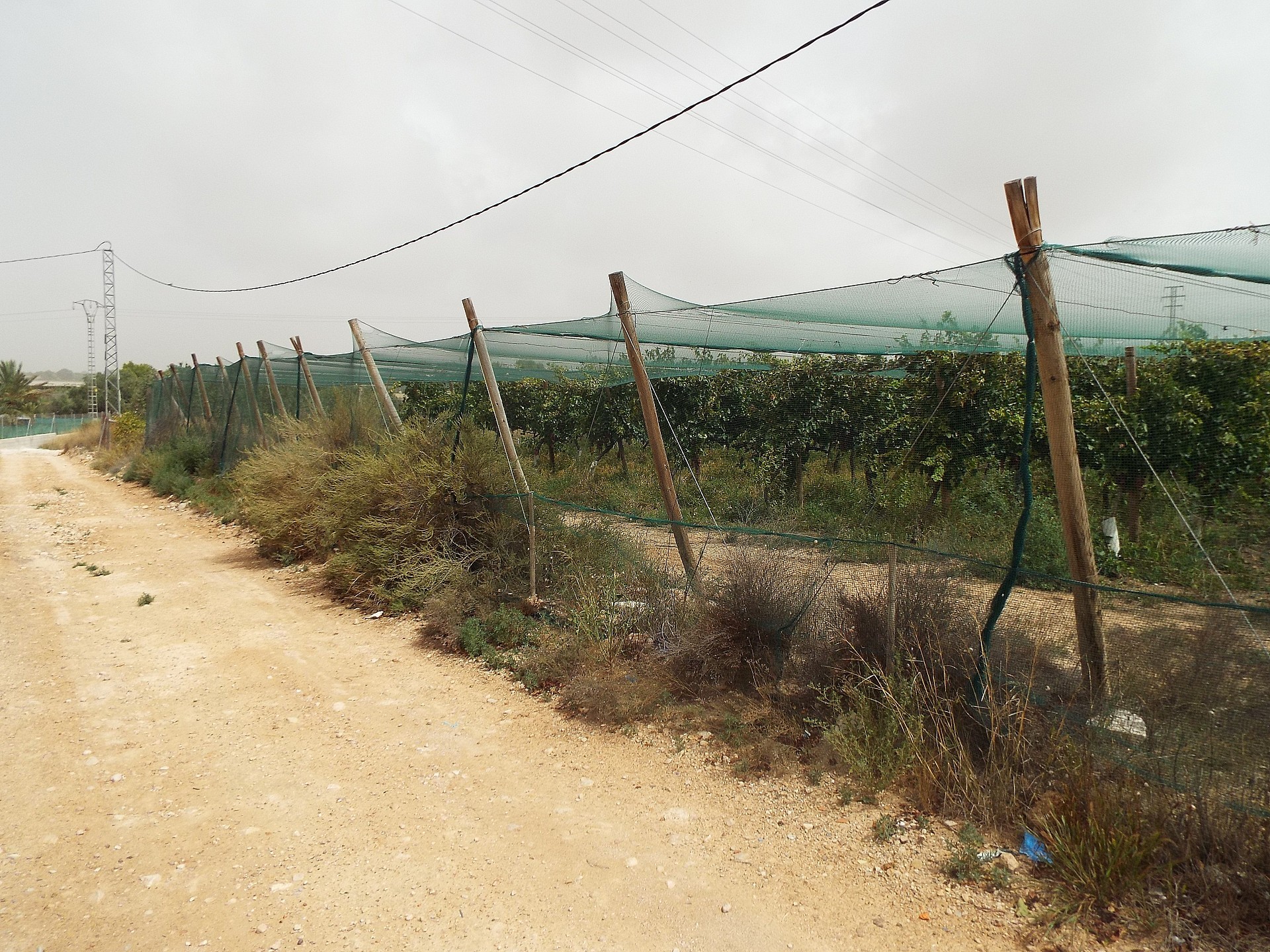 Resale - Land in Monforte Del Cid -  - Alicante