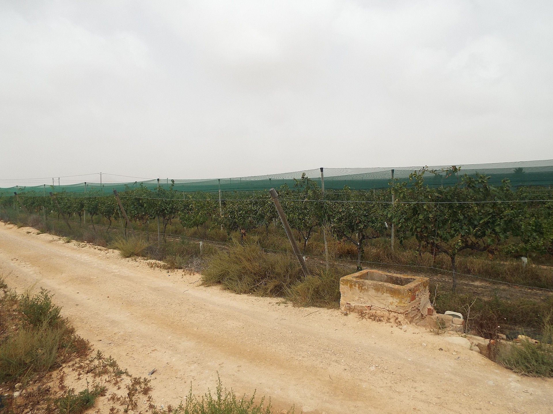 Resale - Land in Monforte Del Cid -  - Alicante