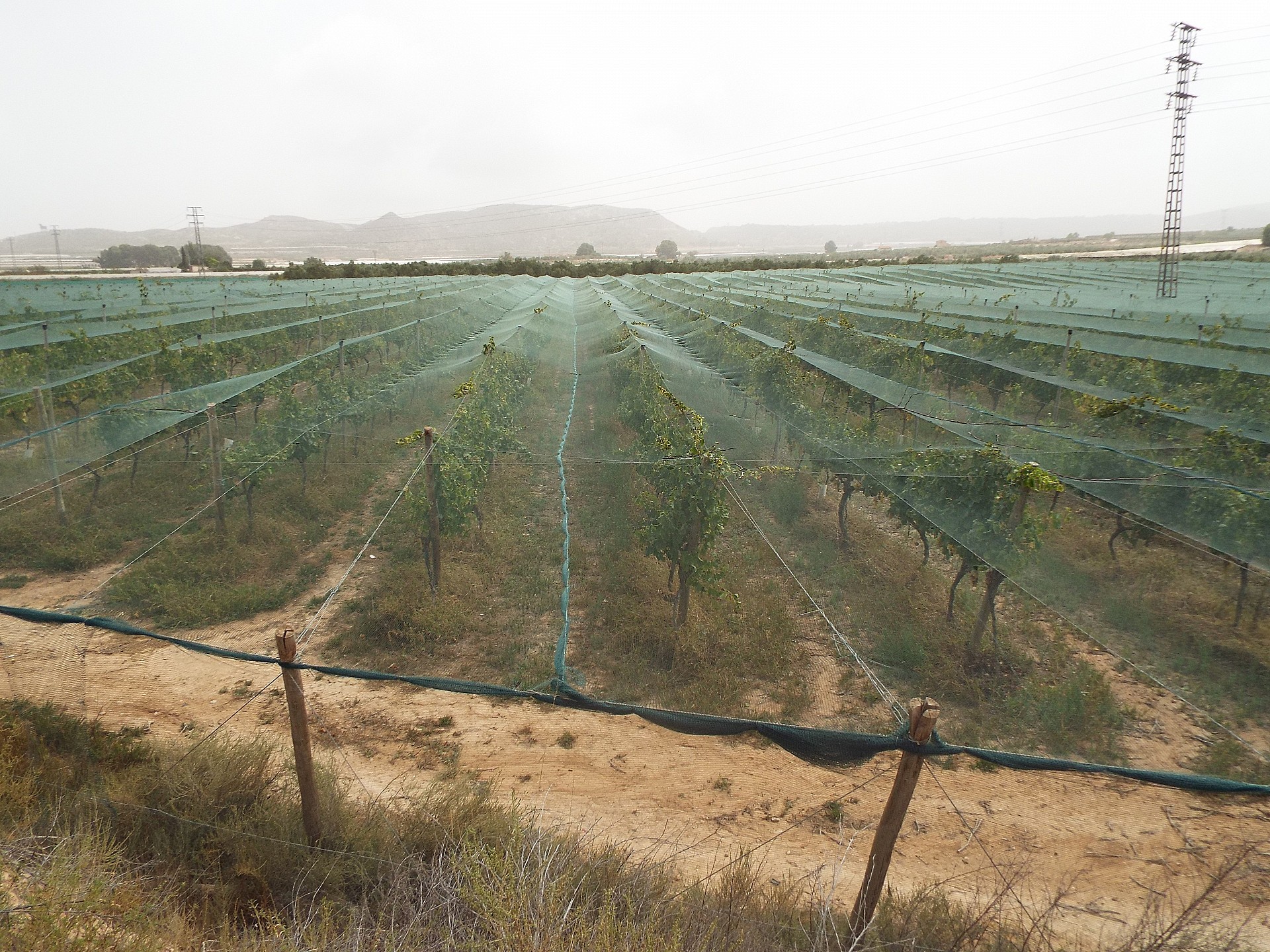 Resale - Land in Monforte Del Cid -  - Alicante