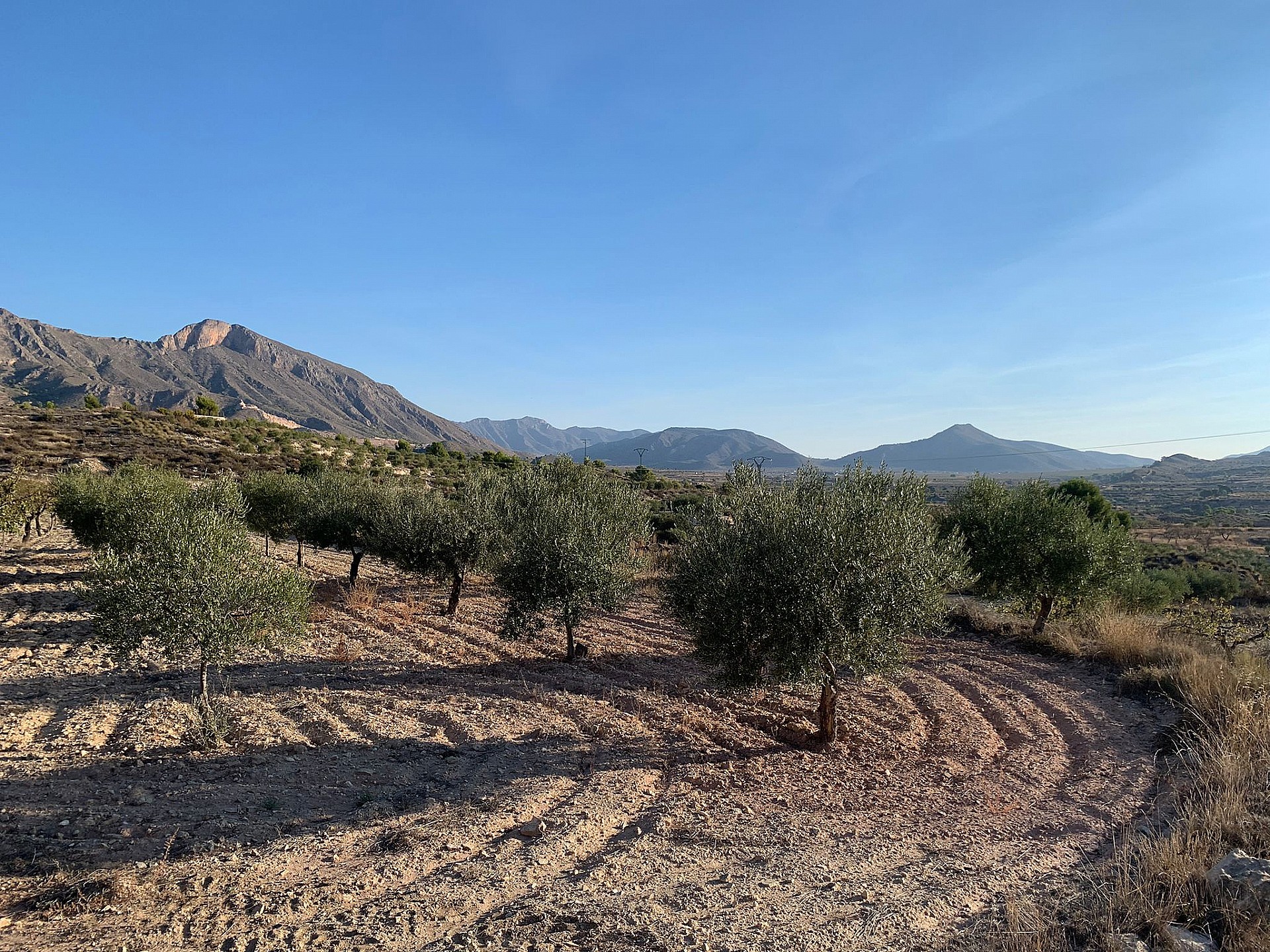 Resale - Land in Macisvenda - , Macisvenda, Murcia, Spain - Murcia