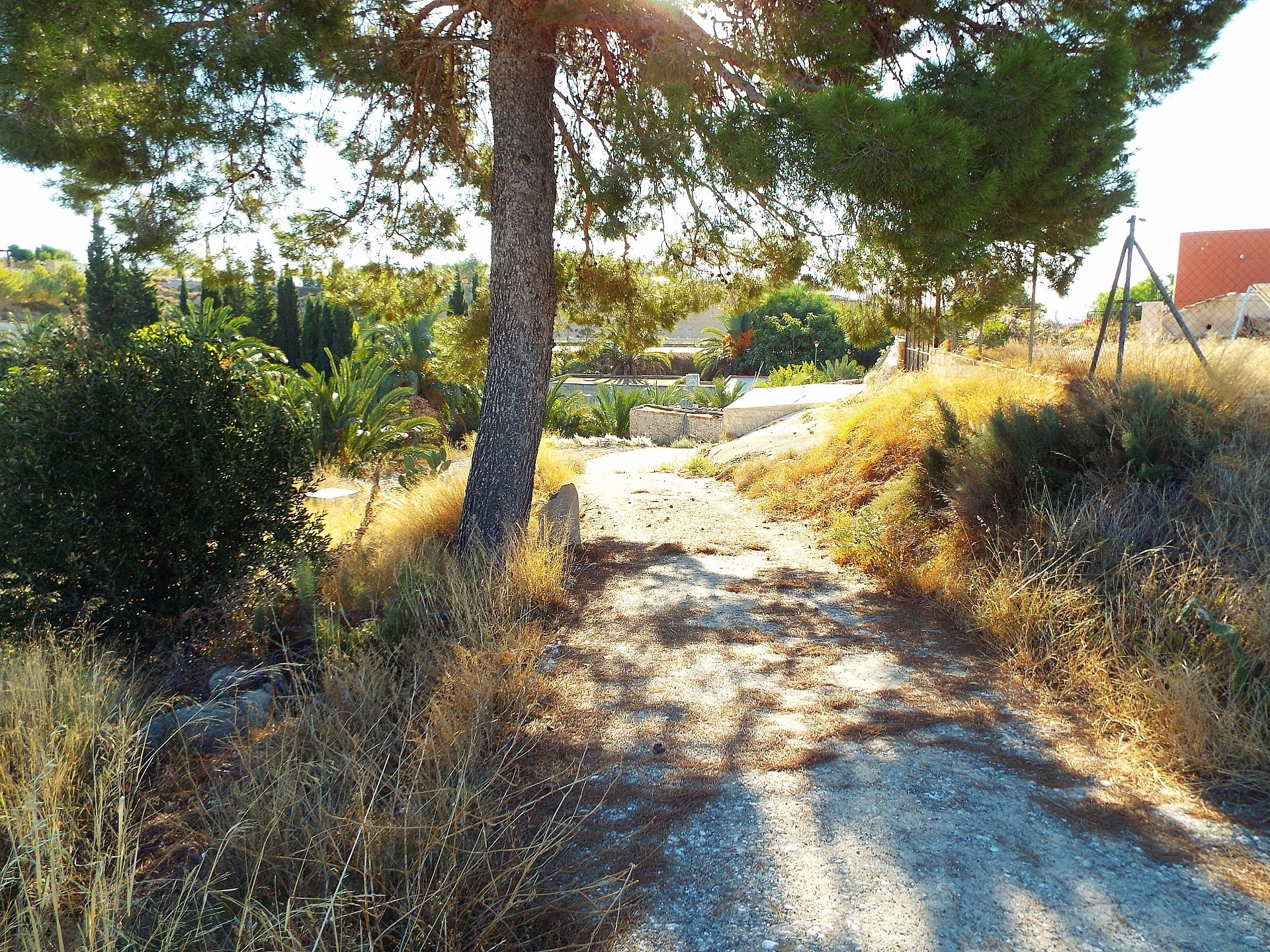Sold - 12 Bedroom 3 Bathroom Country house in Mahoya -  - Murcia