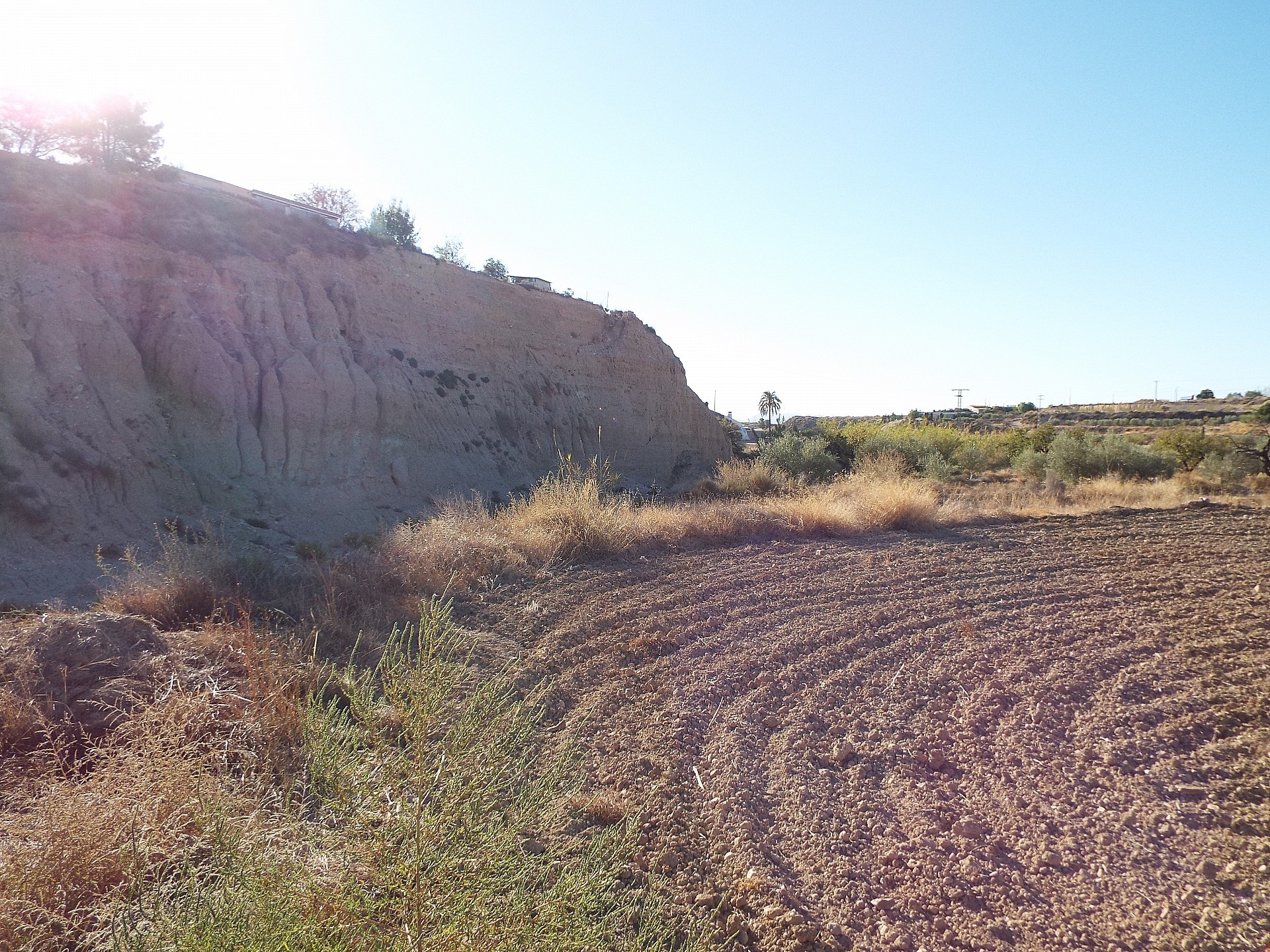 Sold - 12 Bedroom 3 Bathroom Country house in Mahoya -  - Murcia