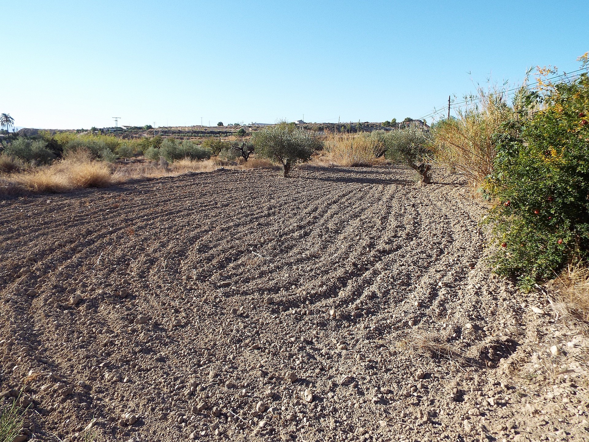 Sold - 12 Bedroom 3 Bathroom Country house in Mahoya -  - Murcia