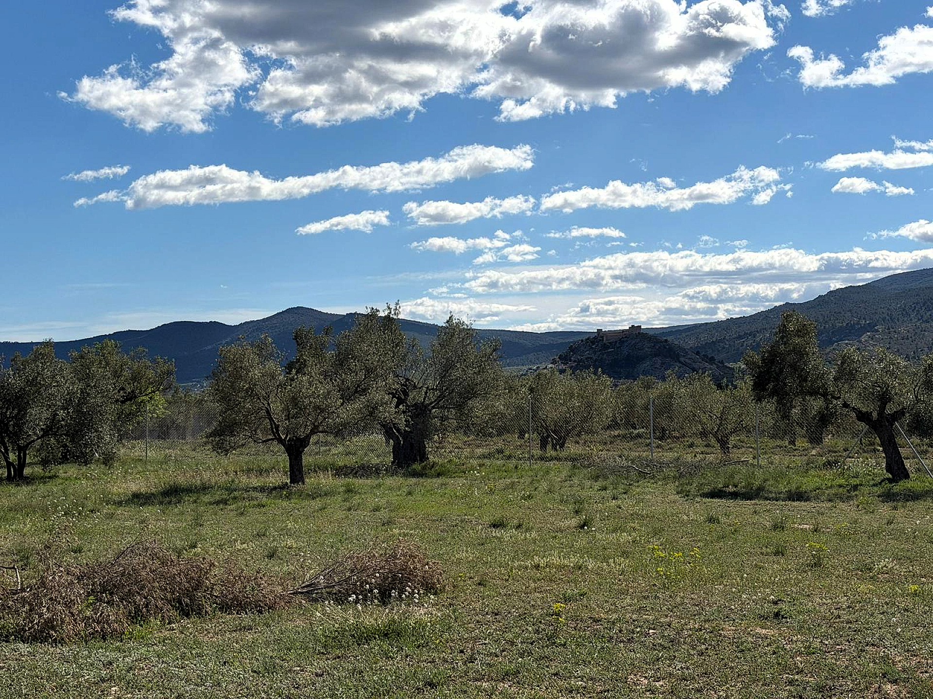 Resale - Land in Onil -  - Alicante