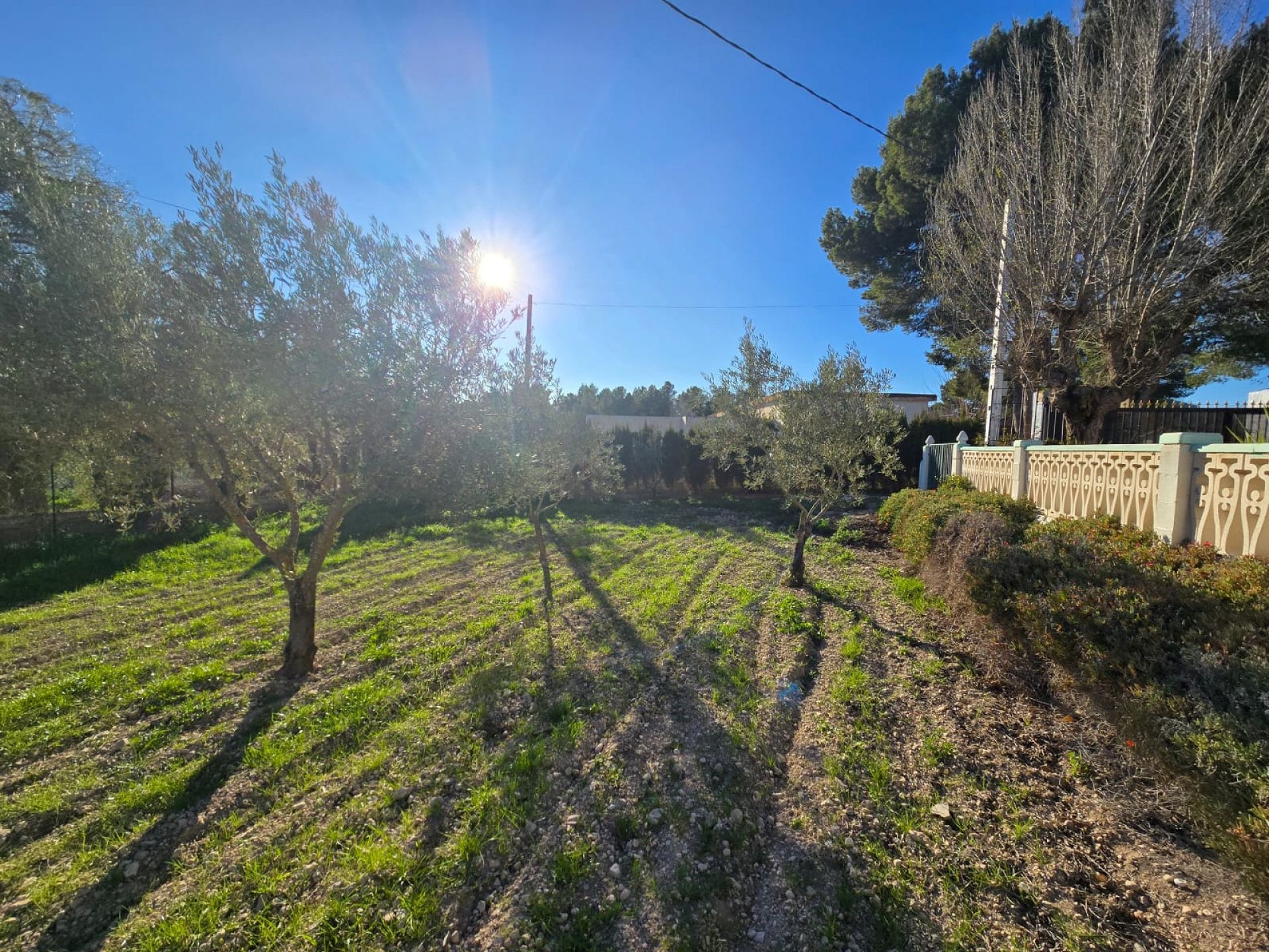 Sold - 3 Bedroom 2 Bathroom Villa in Sax -  - Alicante