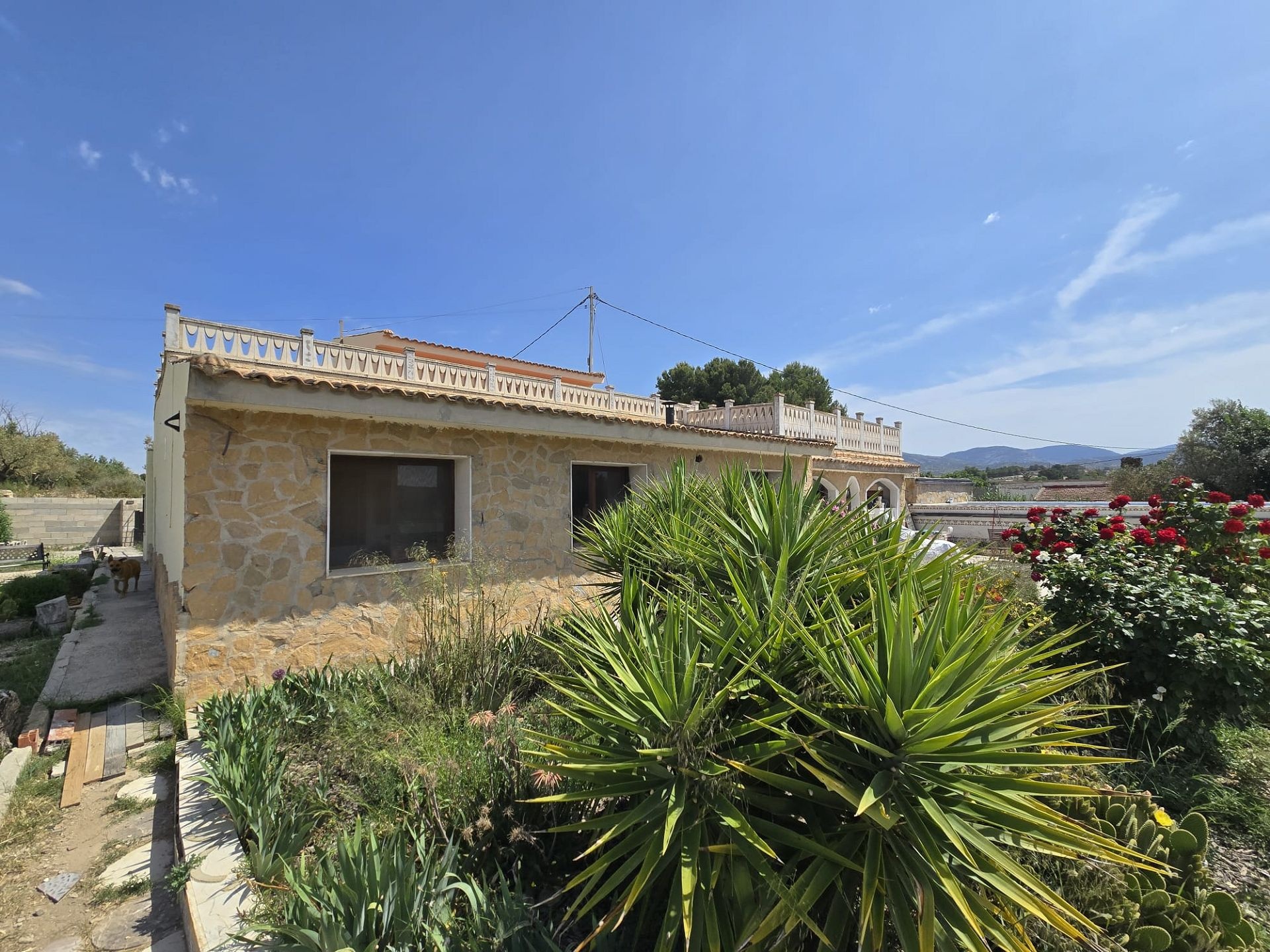 Resale - 6 Bedroom 3 Bathroom Villa in Sax -  - Alicante