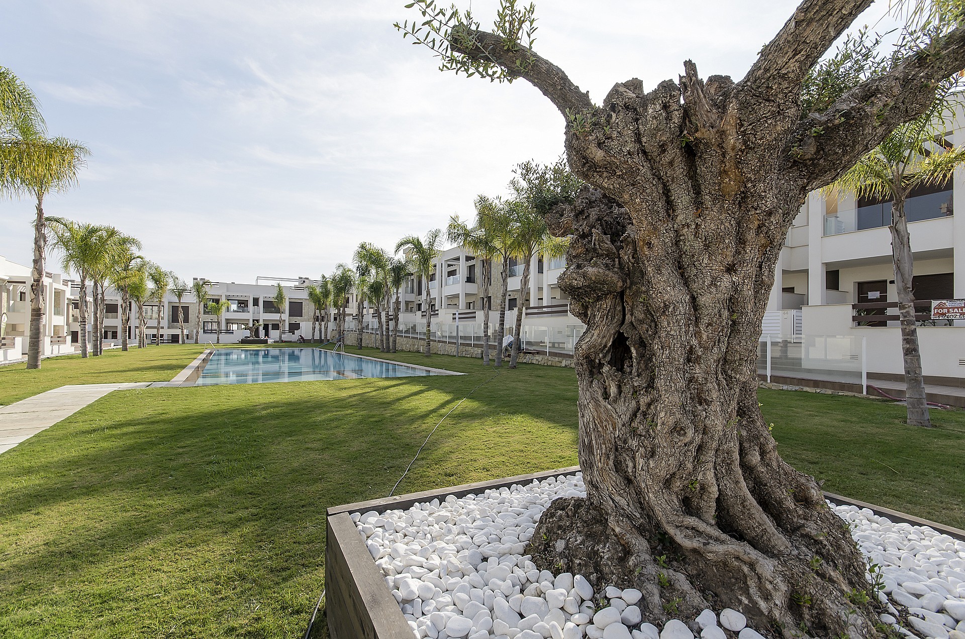 Resale - 2 Bedroom 2 Bathroom Apartment in Torrevieja -  - Alicante