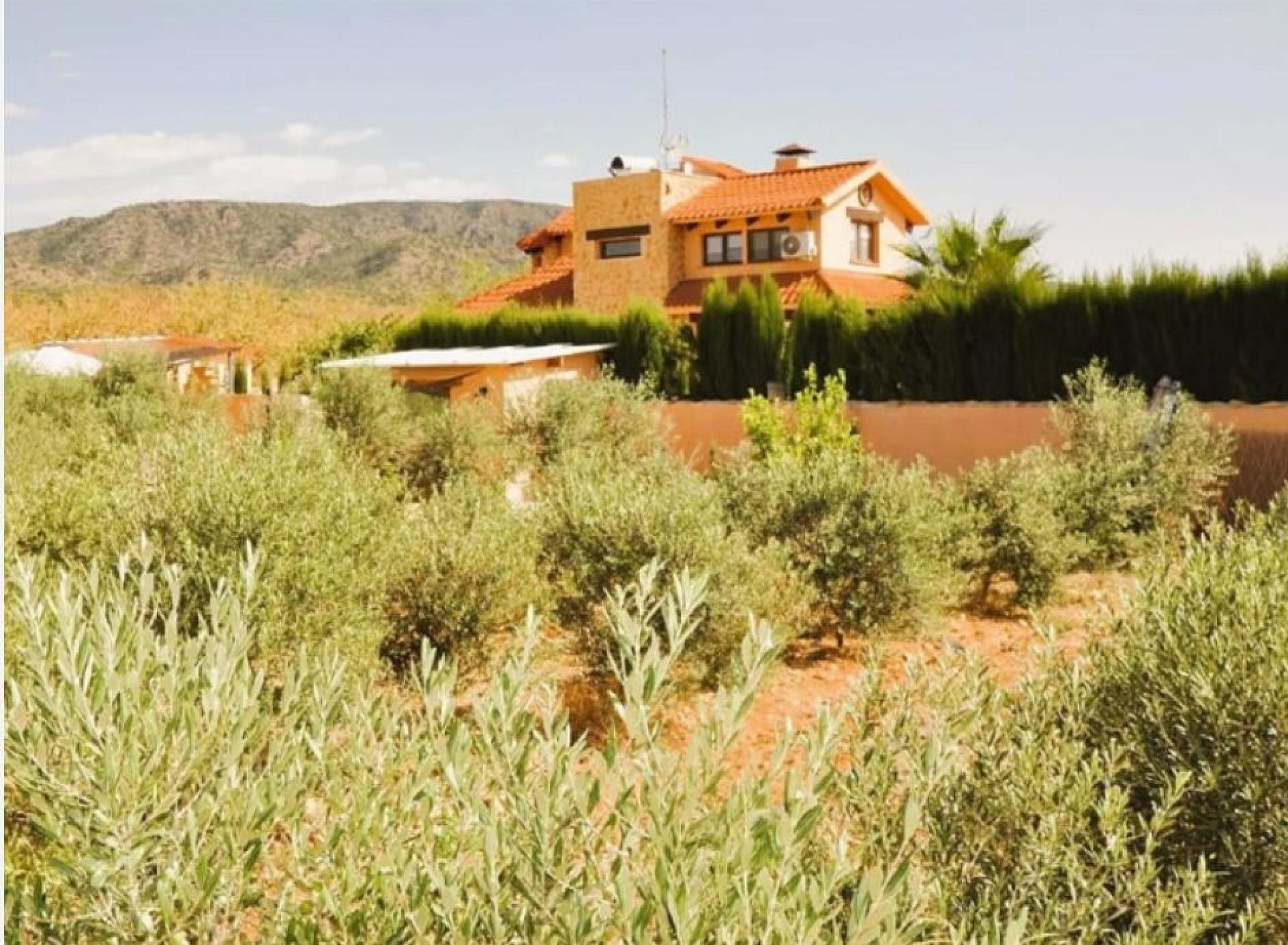 Resale - 5 Bedroom 3 Bathroom Villa in Pinoso -  - Alicante