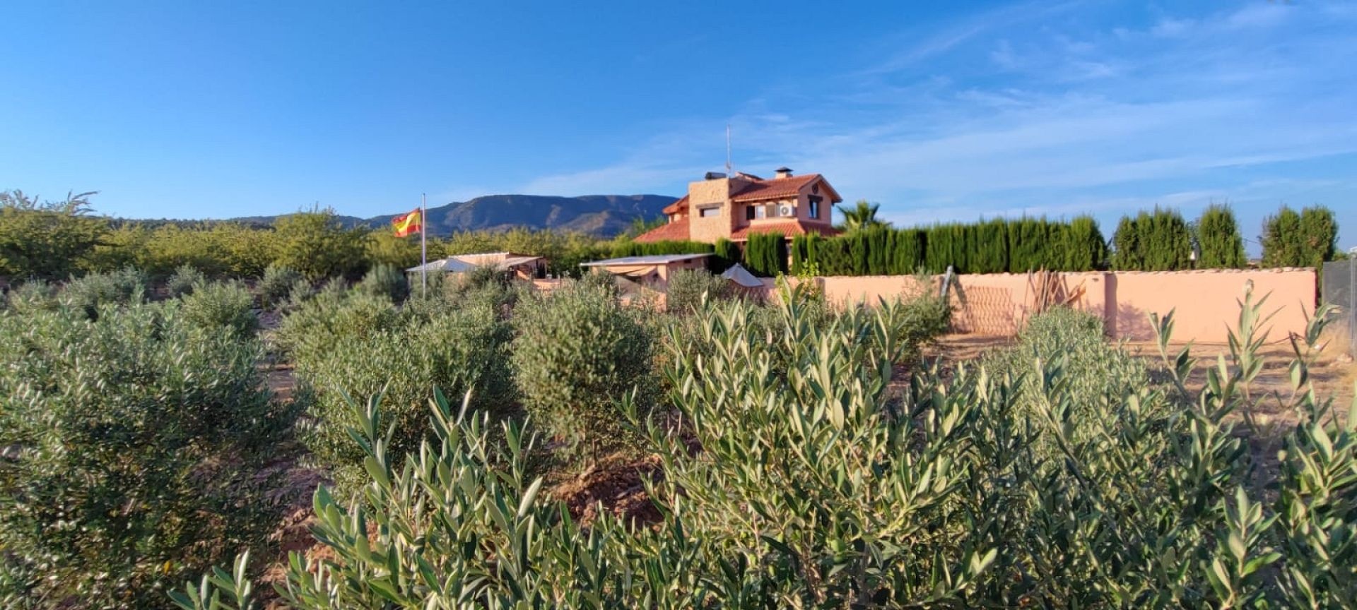 Resale - 5 Bedroom 3 Bathroom Villa in Pinoso -  - Alicante