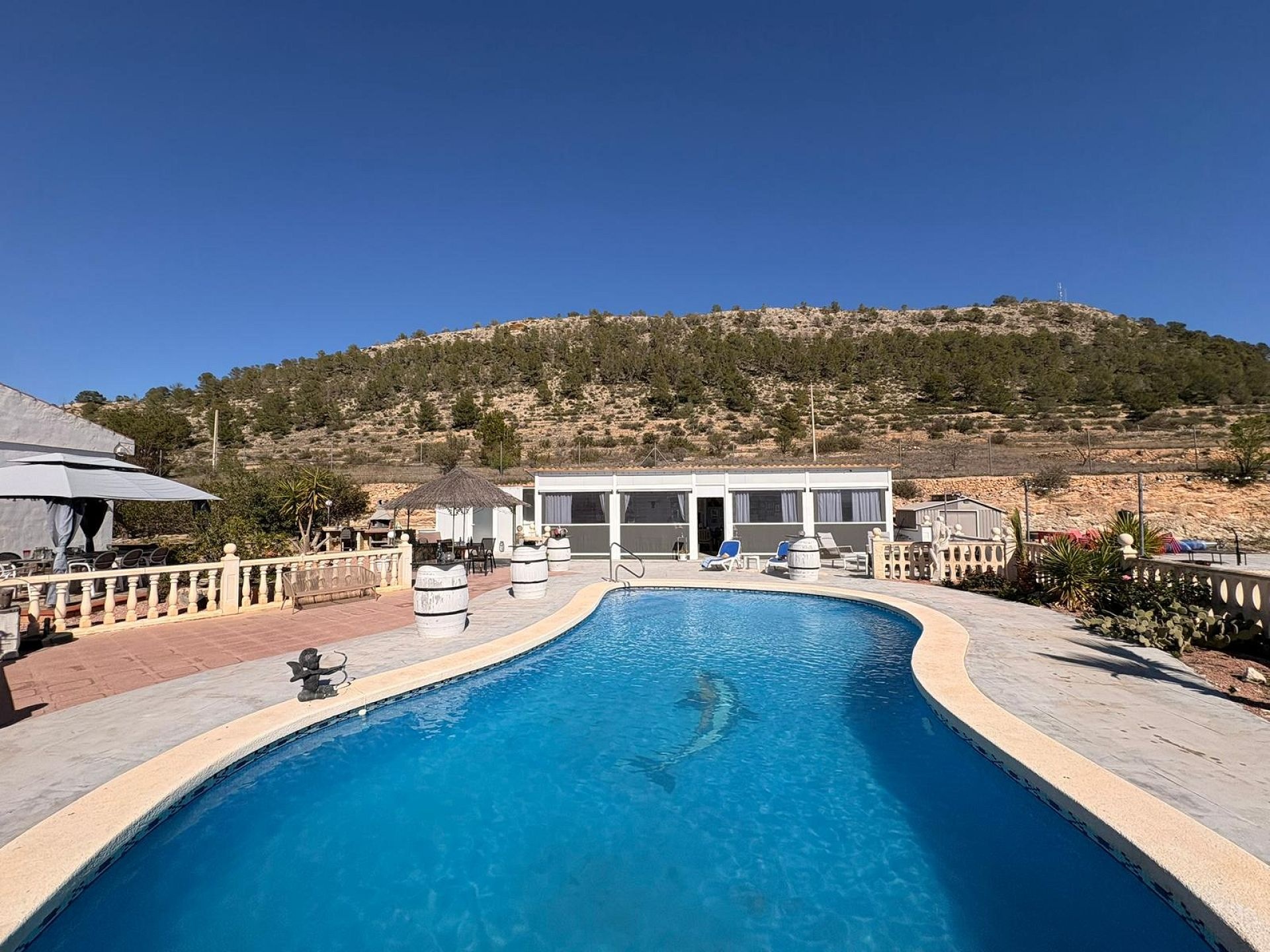 Sold - 4 Bedroom 4 Bathroom Villa in Monóvar -  - Alicante