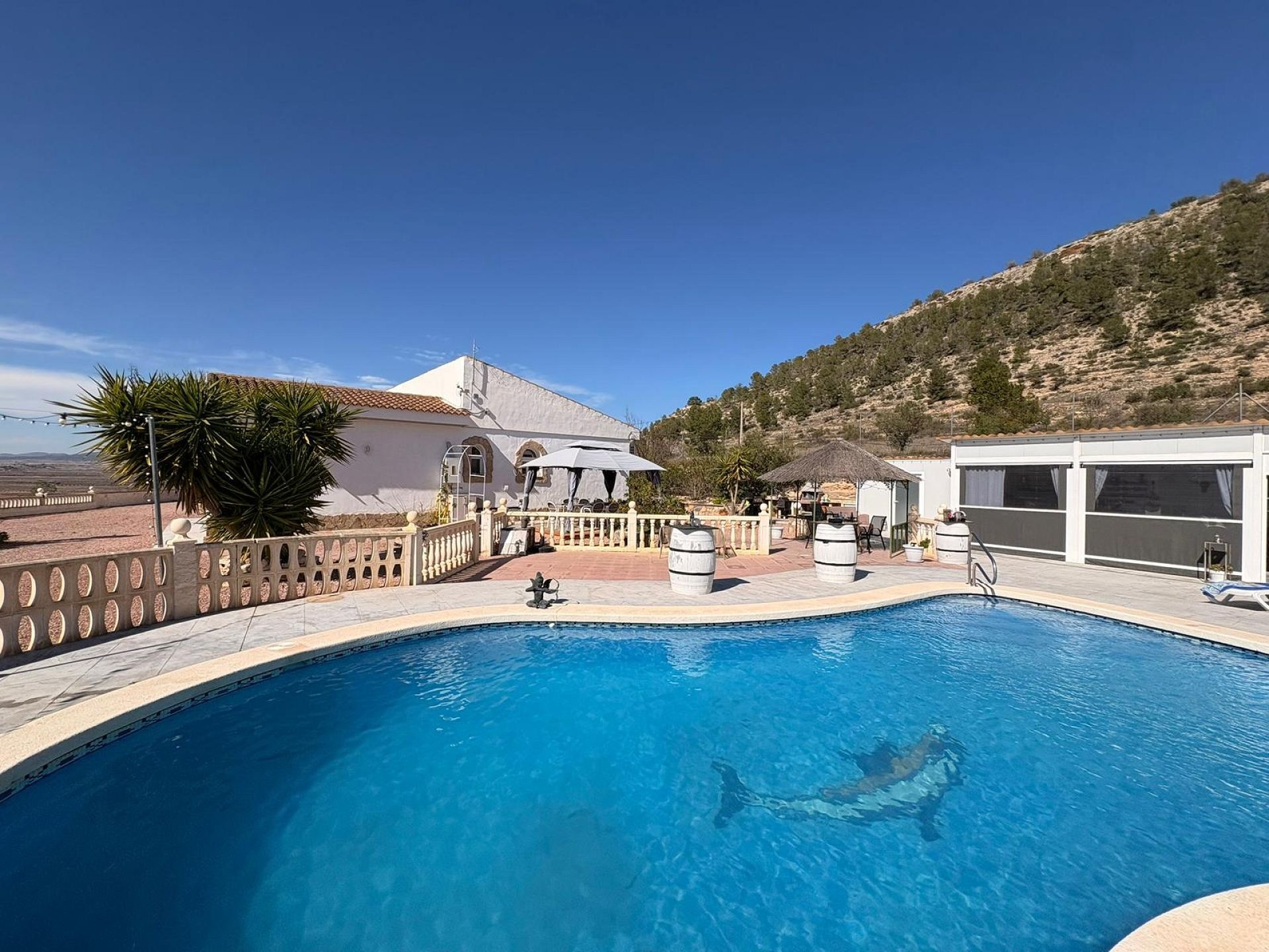 Sold - 4 Bedroom 4 Bathroom Villa in Monóvar -  - Alicante