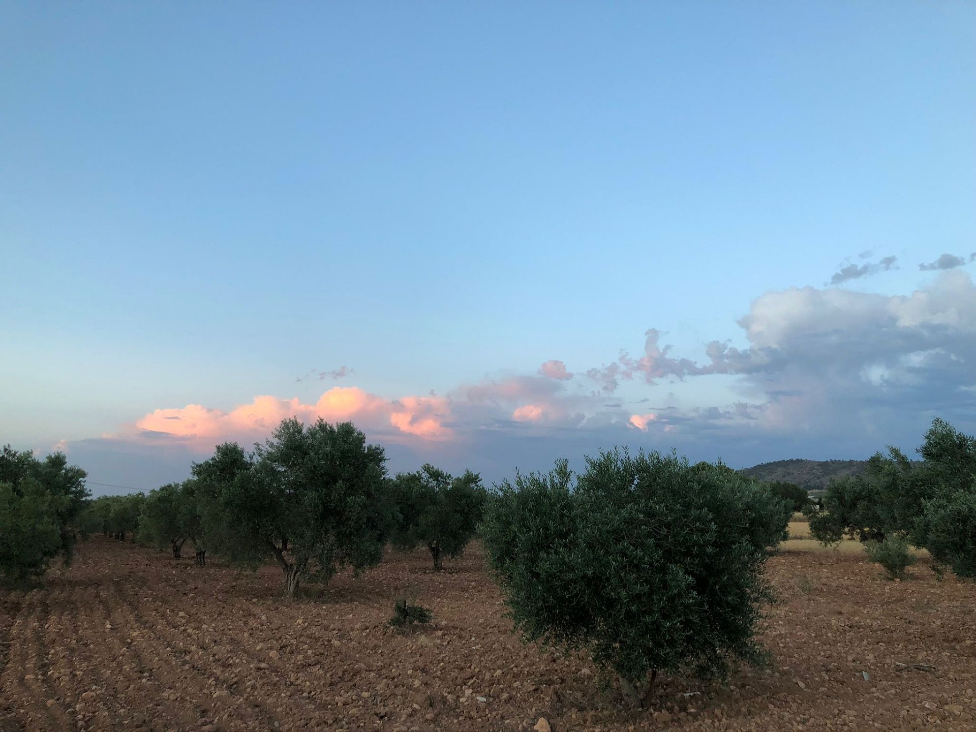 Resale - 4 Bedroom 2 Bathroom Villa in Yecla -  - Murcia