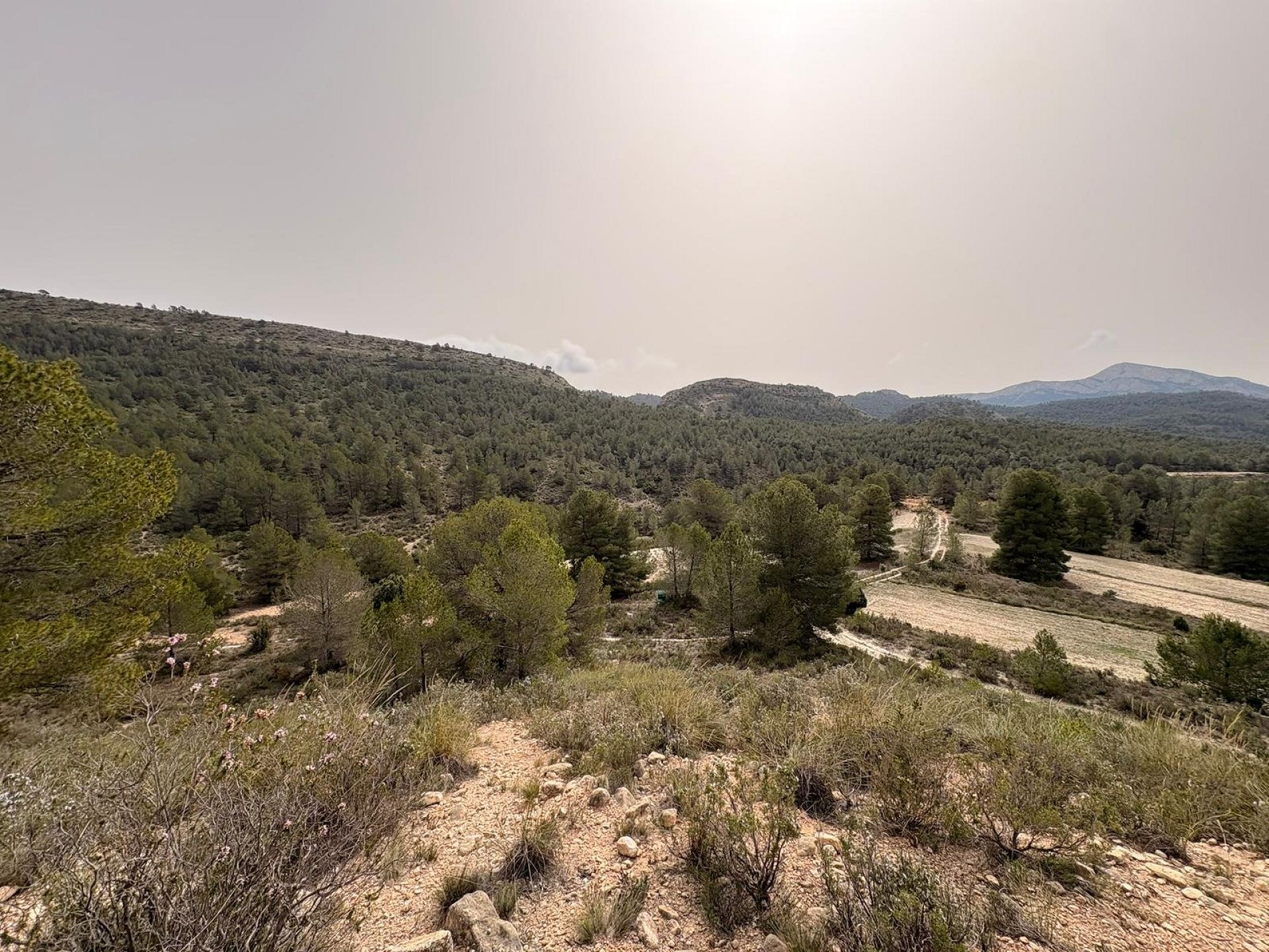 Resale - Land in Petrer -  - Alicante