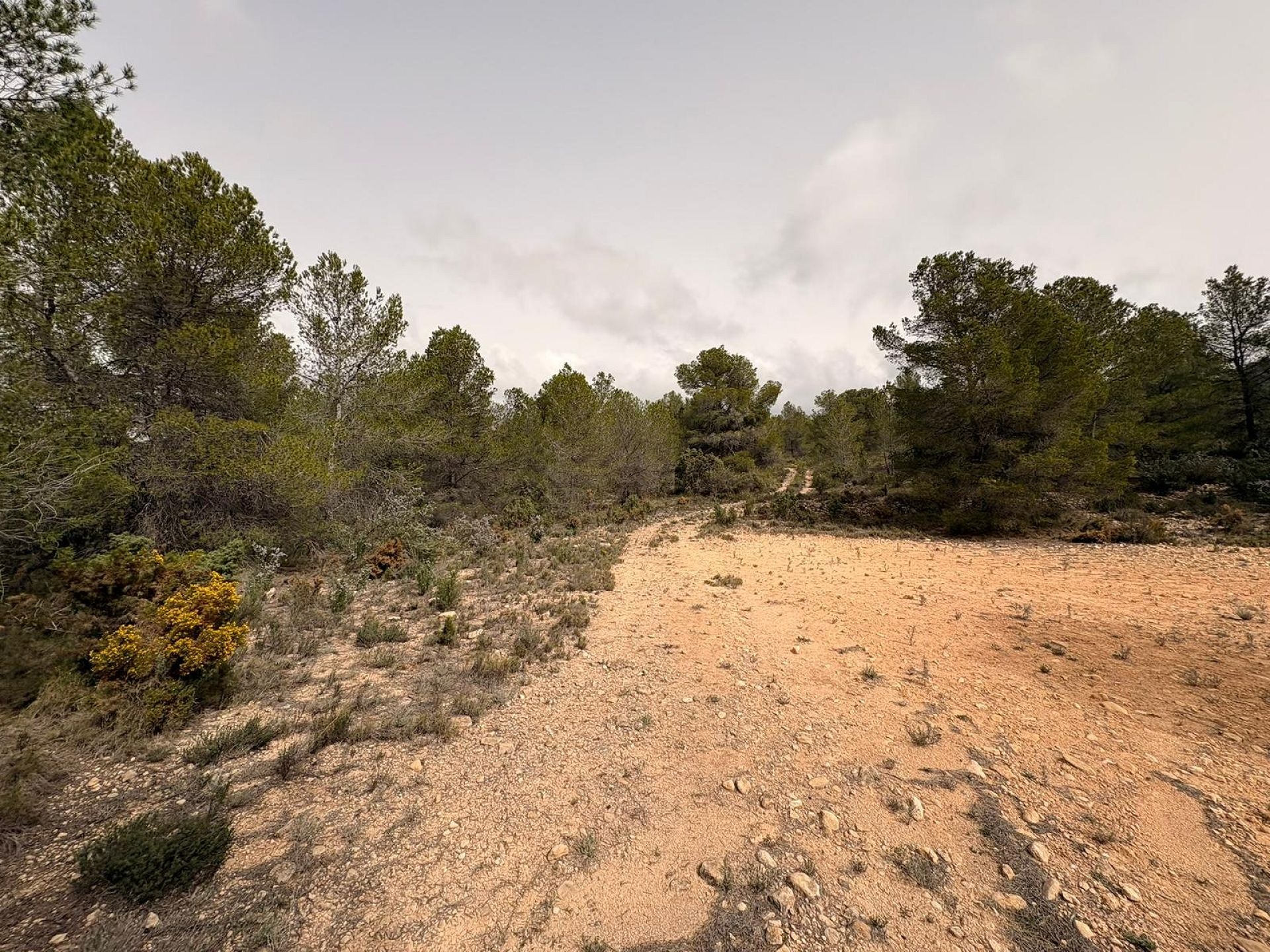 Resale - Land in Petrer -  - Alicante