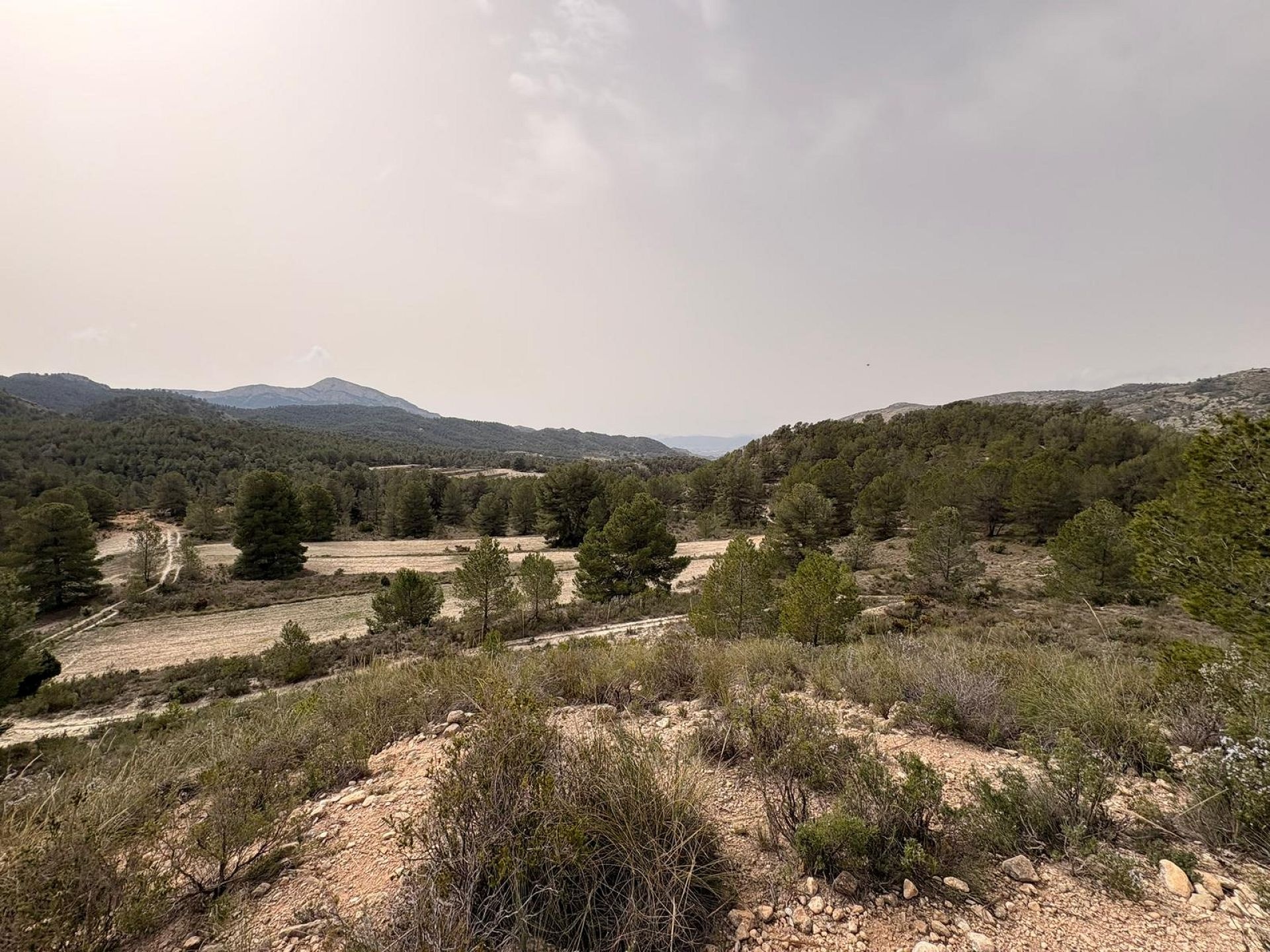 Resale - Land in Petrer -  - Alicante