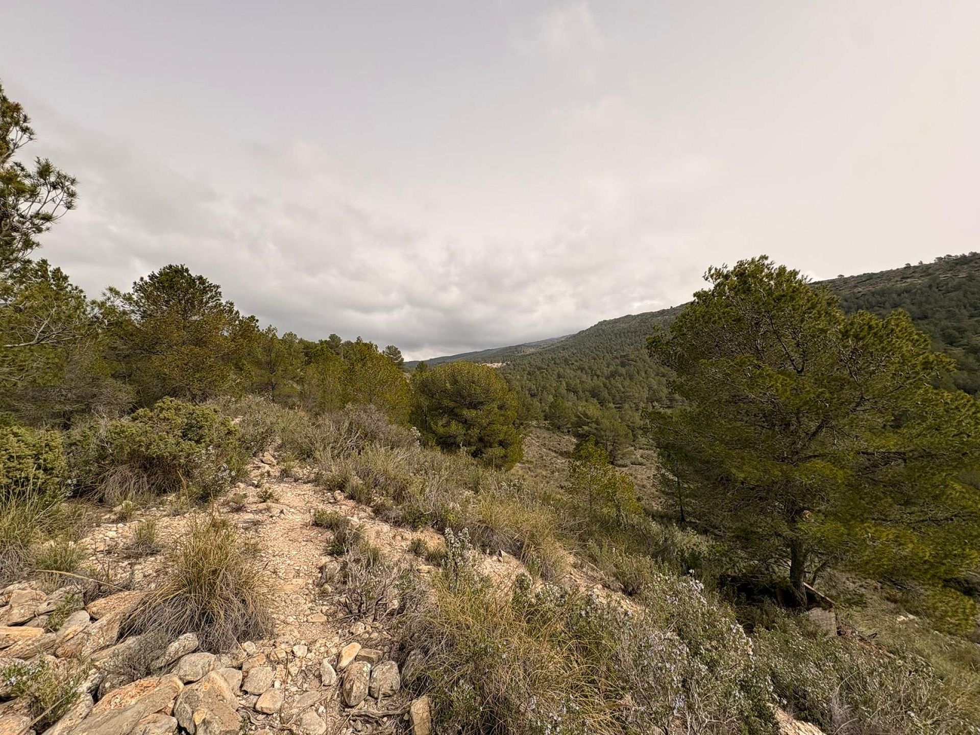 Resale - Land in Petrer -  - Alicante