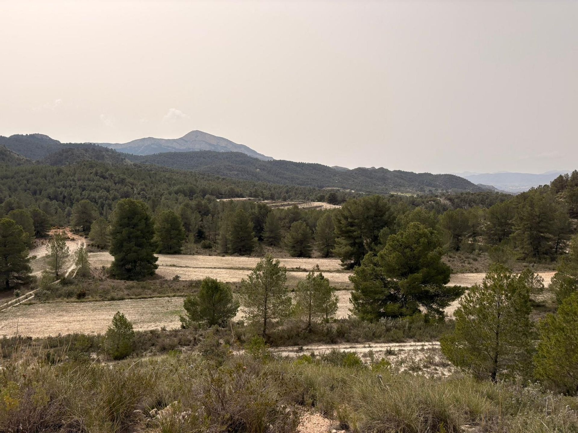 Resale - Land in Petrer -  - Alicante