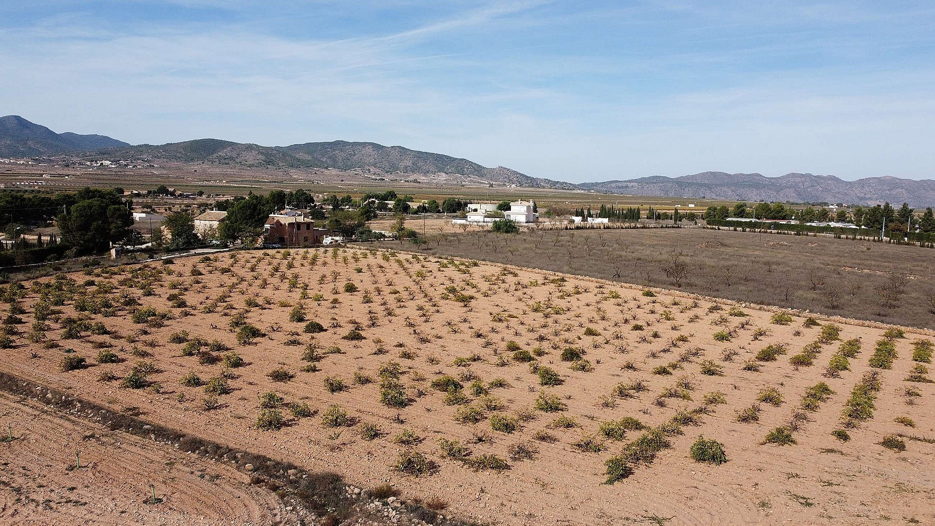 Resale - Land in Pinoso -  - Alicante