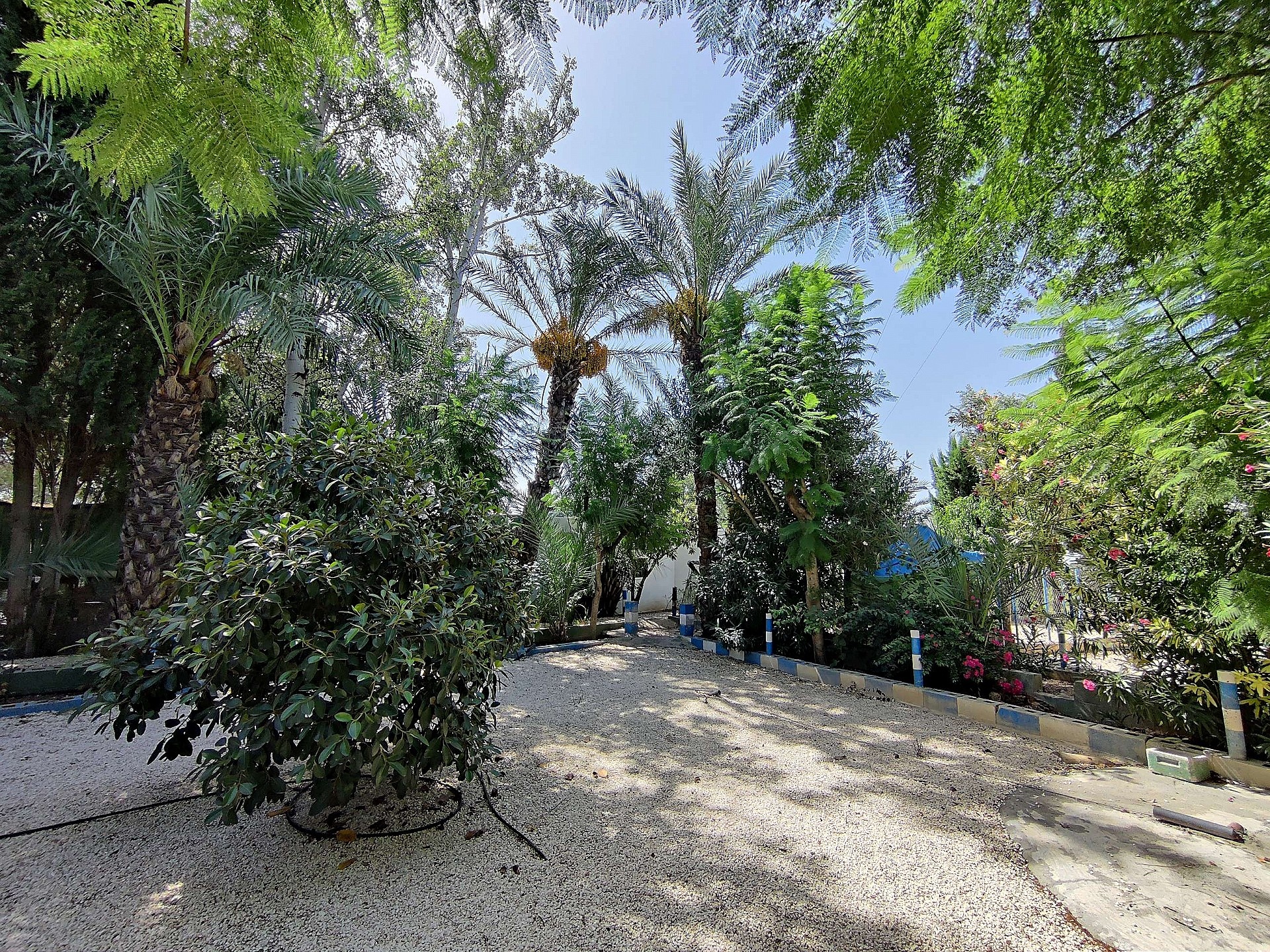 Resale - 3 Bedroom 2 Bathroom Country house in Crevillente -  - Alicante
