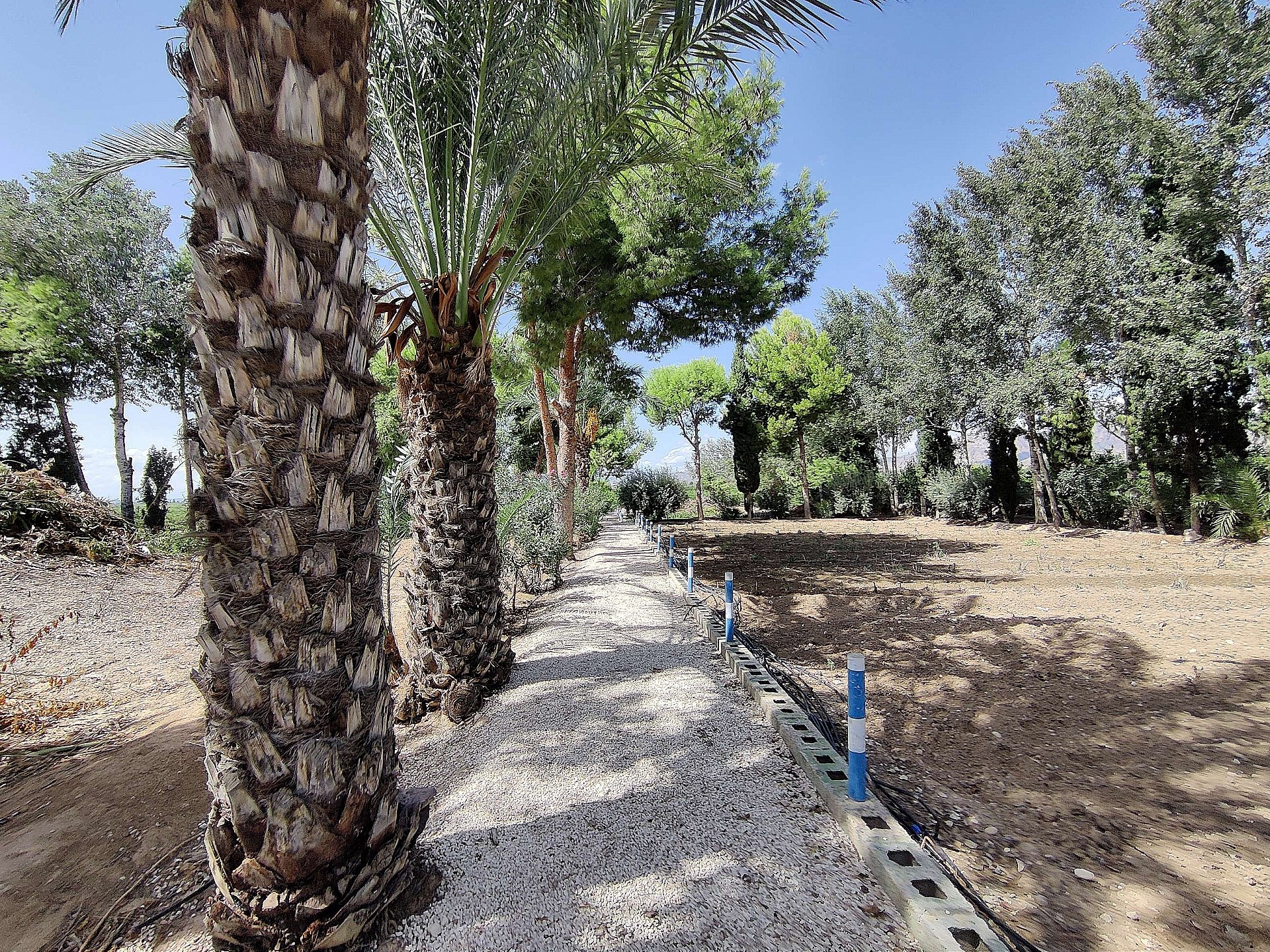 Resale - 3 Bedroom 2 Bathroom Country house in Crevillente -  - Alicante