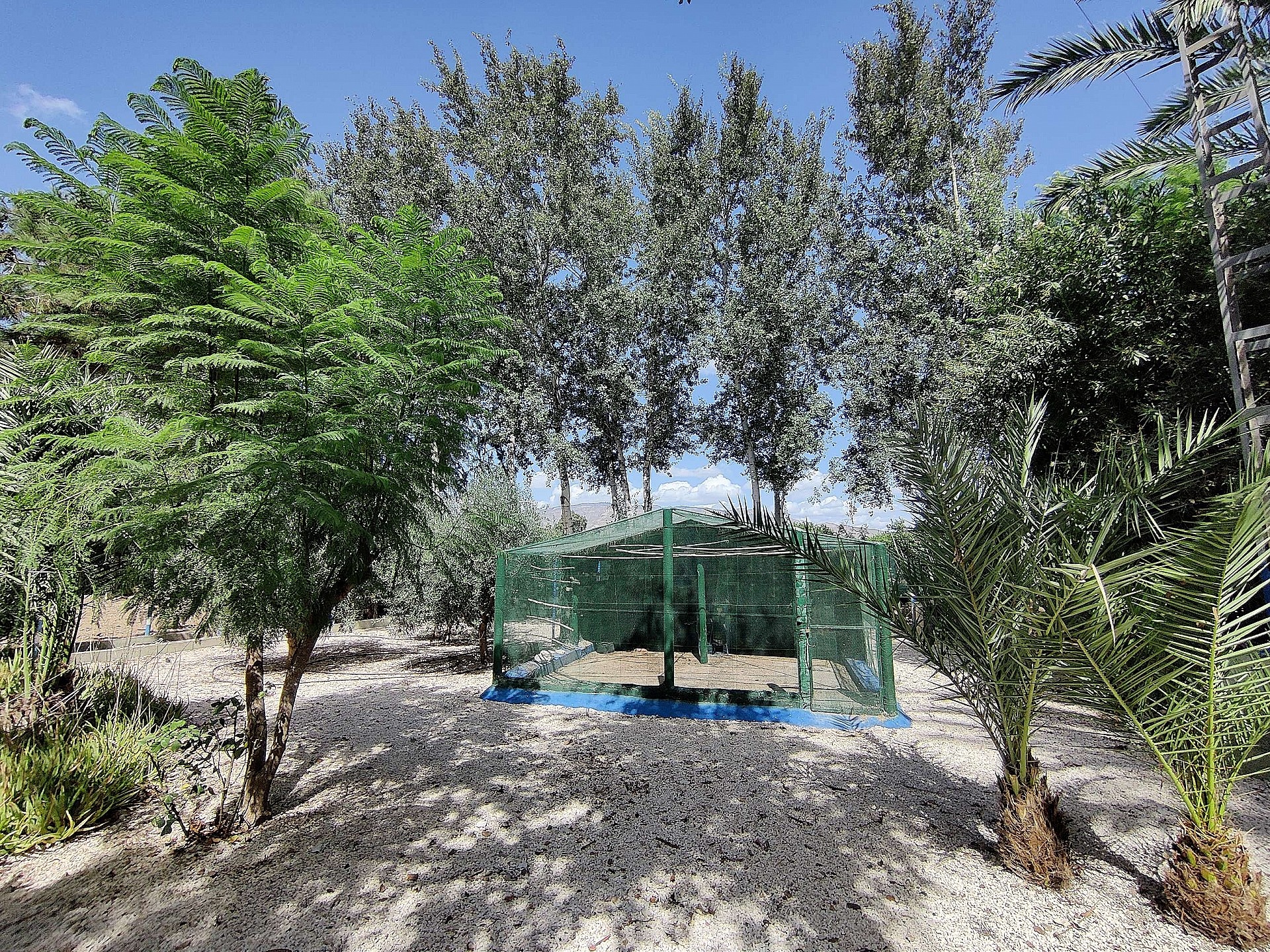 Resale - 3 Bedroom 2 Bathroom Country house in Crevillente -  - Alicante