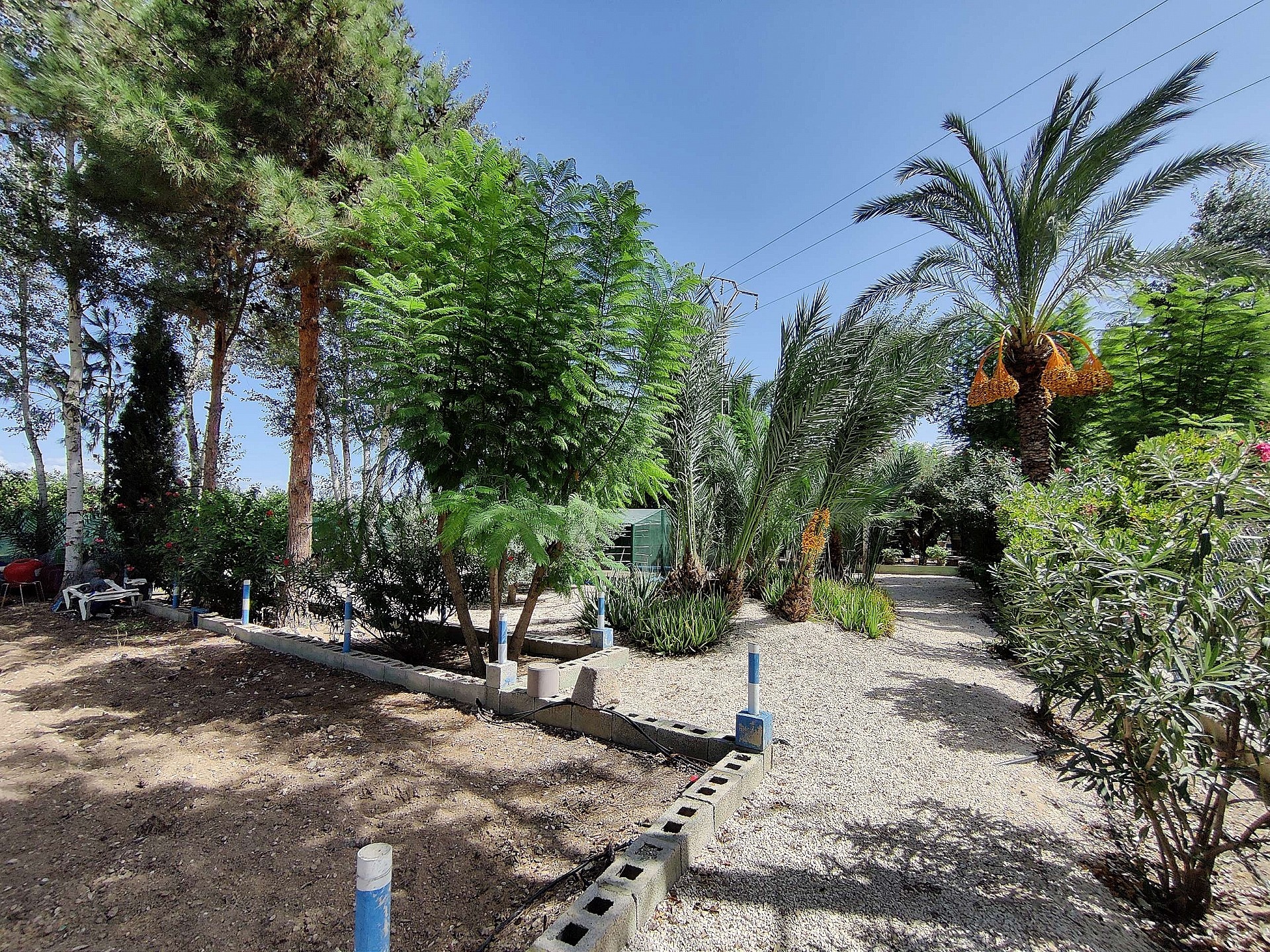 Resale - 3 Bedroom 2 Bathroom Country house in Crevillente -  - Alicante