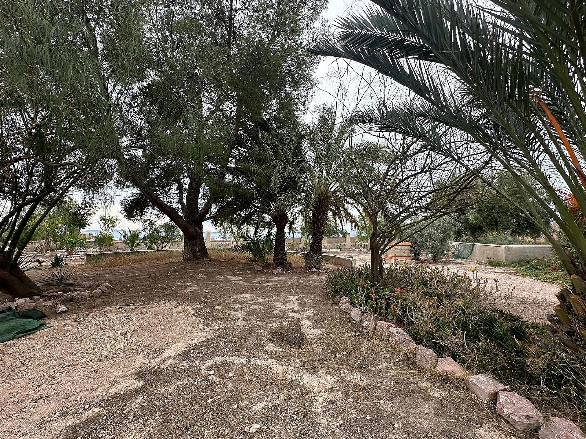 Resale - 9 Bedroom 4 Bathroom Country house in Novelda -  - Alicante