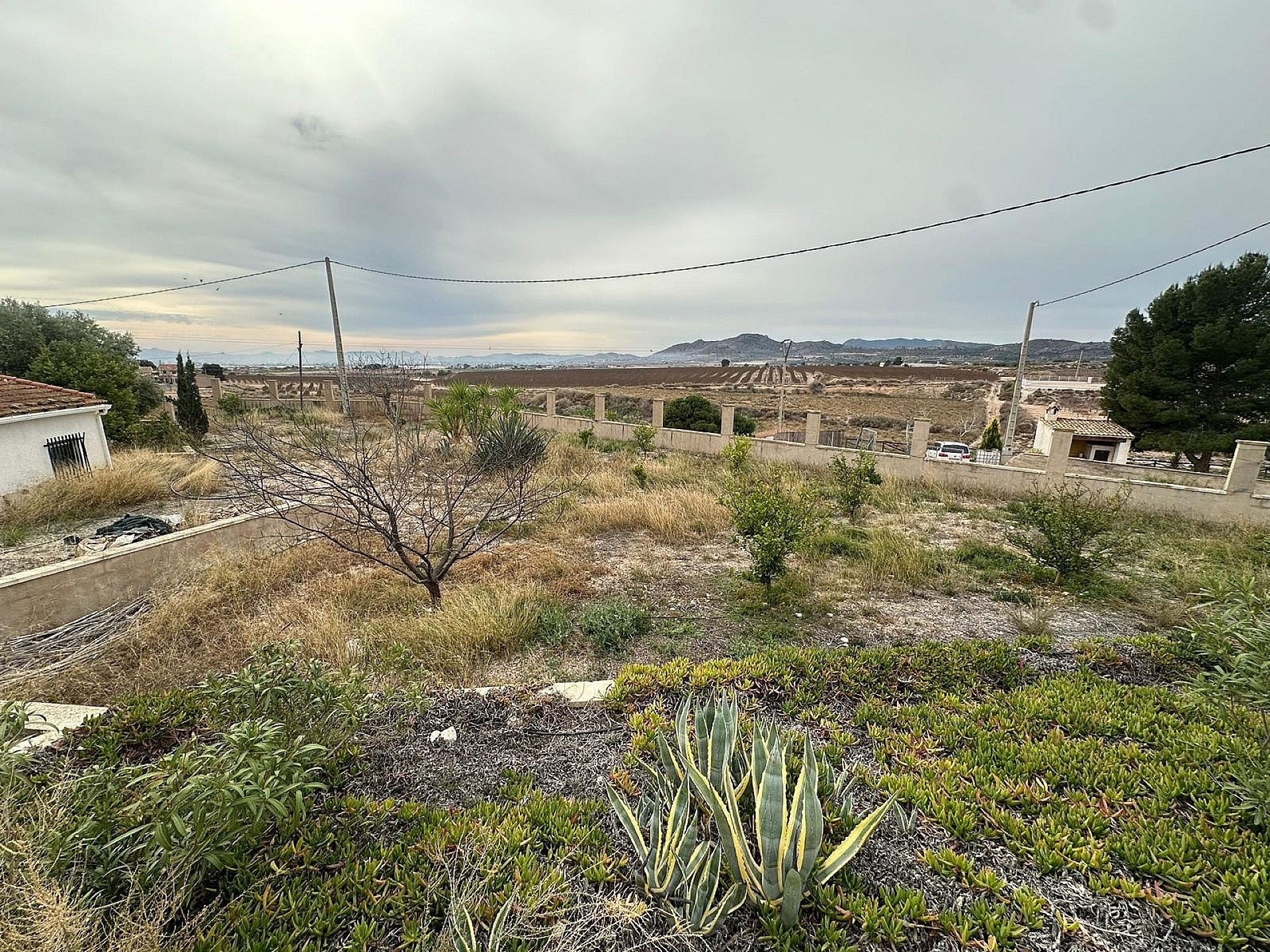Resale - 9 Bedroom 4 Bathroom Country house in Novelda -  - Alicante