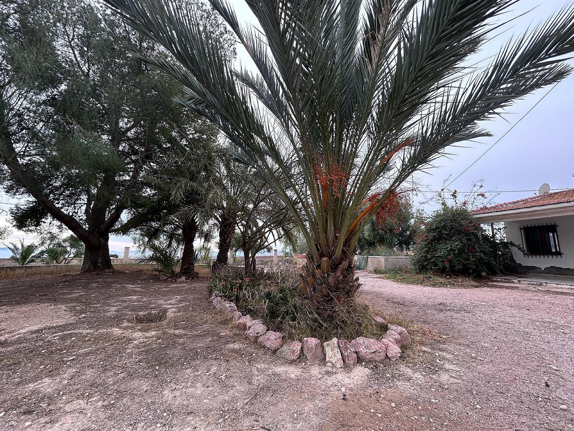 Resale - 9 Bedroom 4 Bathroom Country house in Novelda -  - Alicante