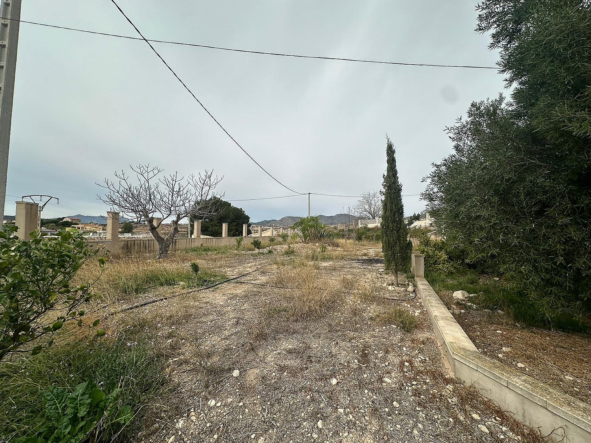 Resale - 9 Bedroom 4 Bathroom Country house in Novelda -  - Alicante