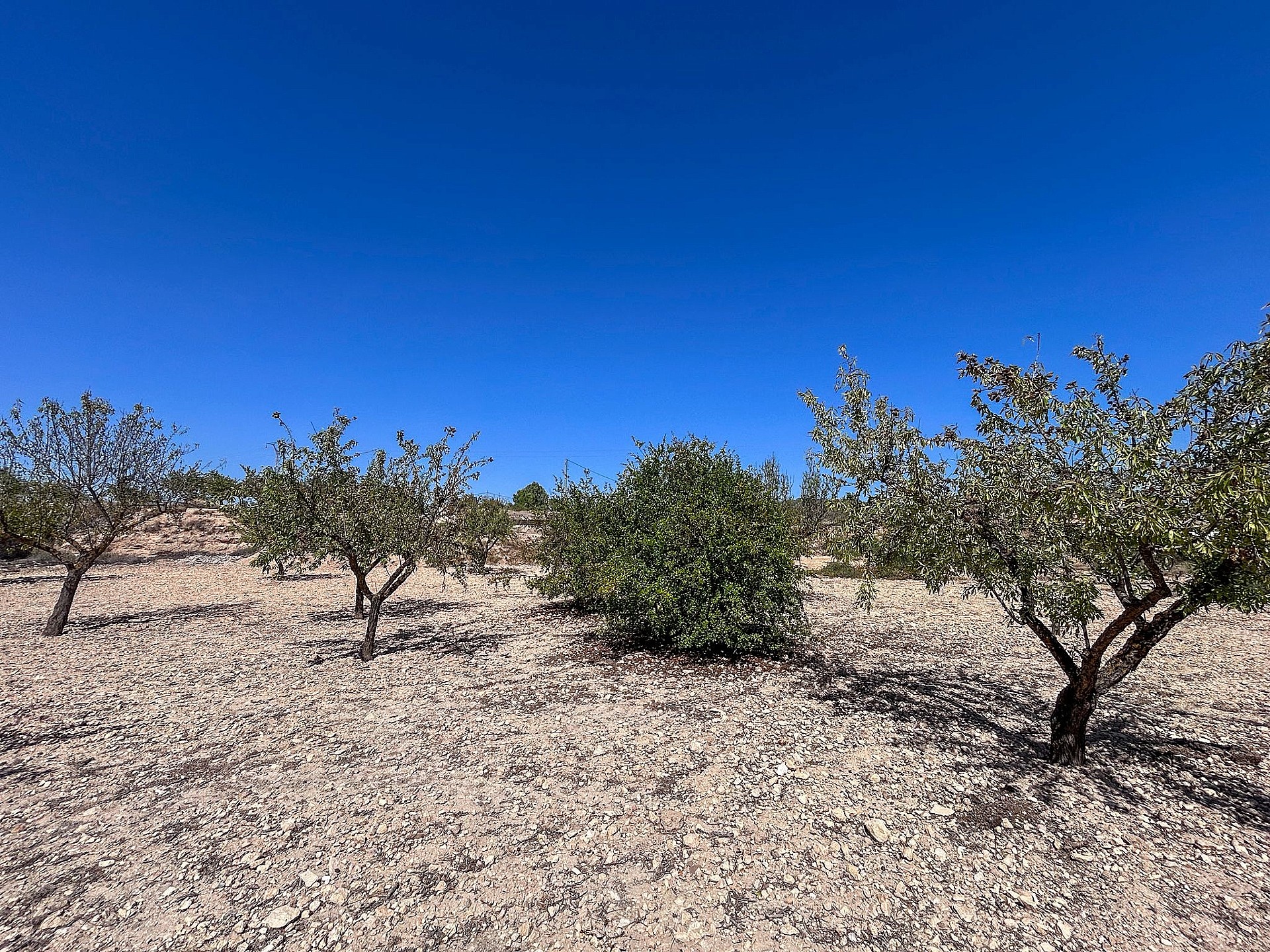 Resale - 3 Bedroom Country house in Monóvar -  - Alicante