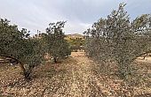 Land in Onil