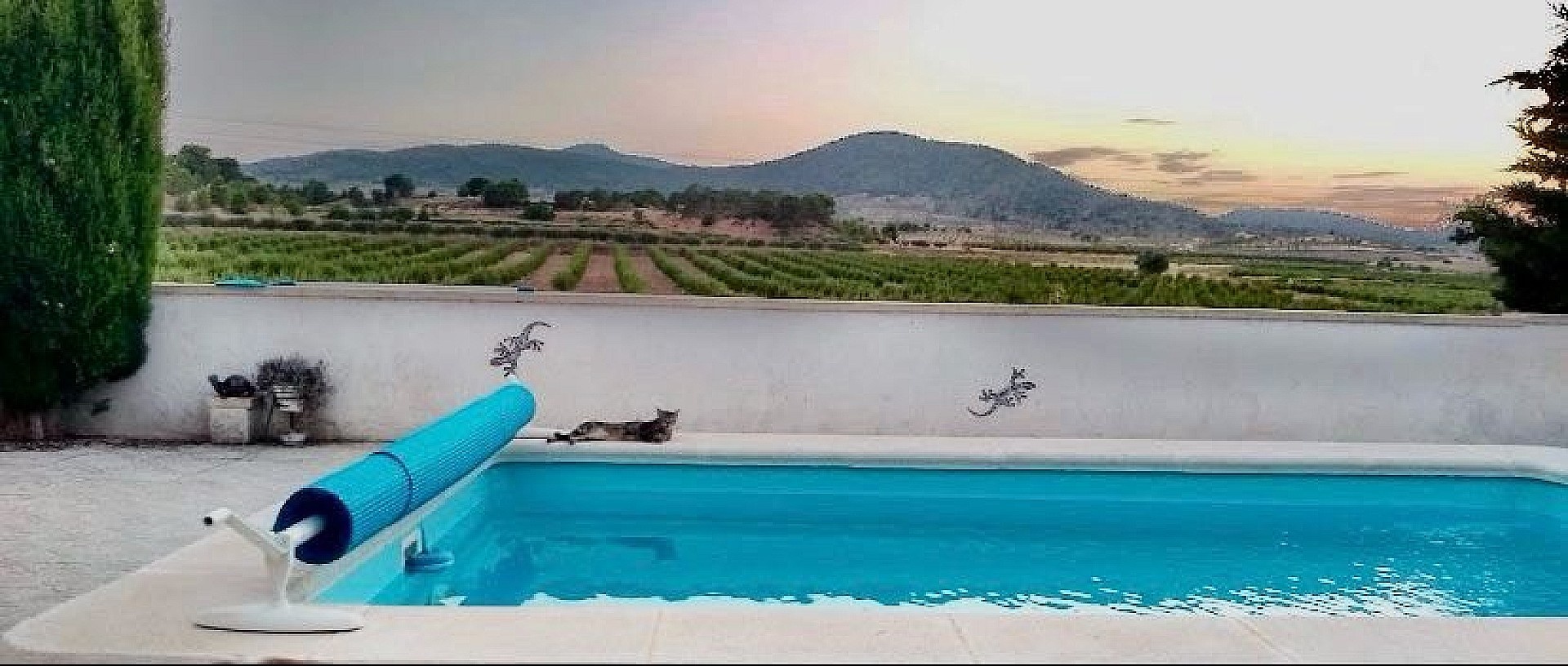Resale - 5 Bedroom 2 Bathroom Semi-detached in Pinoso -  - Alicante