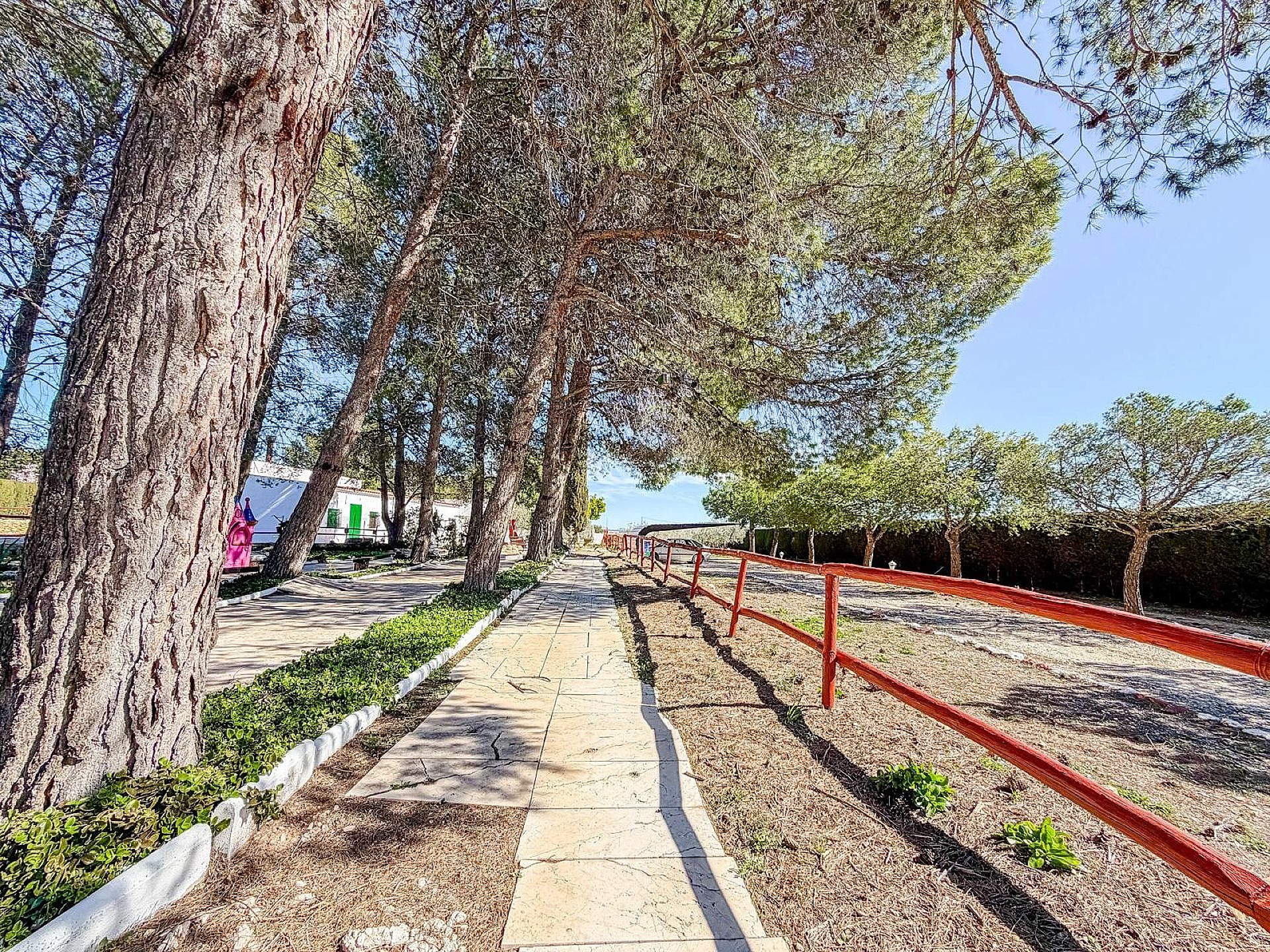 Resale - 6 Bedroom 2 Bathroom Country house in Pinoso -  - Alicante
