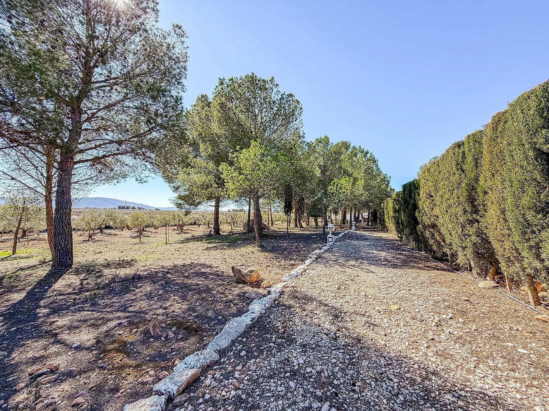 Resale - 6 Bedroom 2 Bathroom Country house in Pinoso -  - Alicante