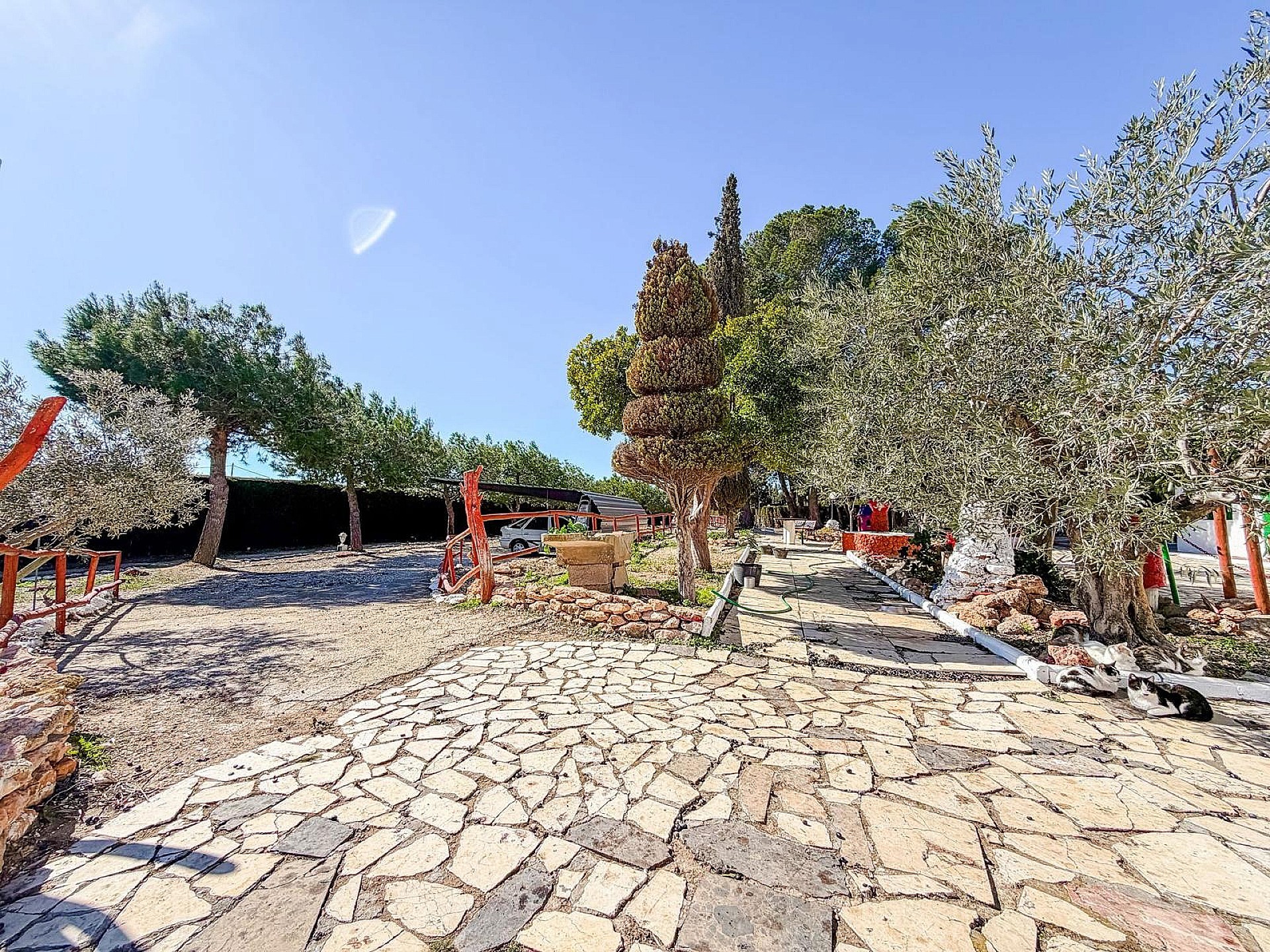 Resale - 6 Bedroom 2 Bathroom Country house in Pinoso -  - Alicante