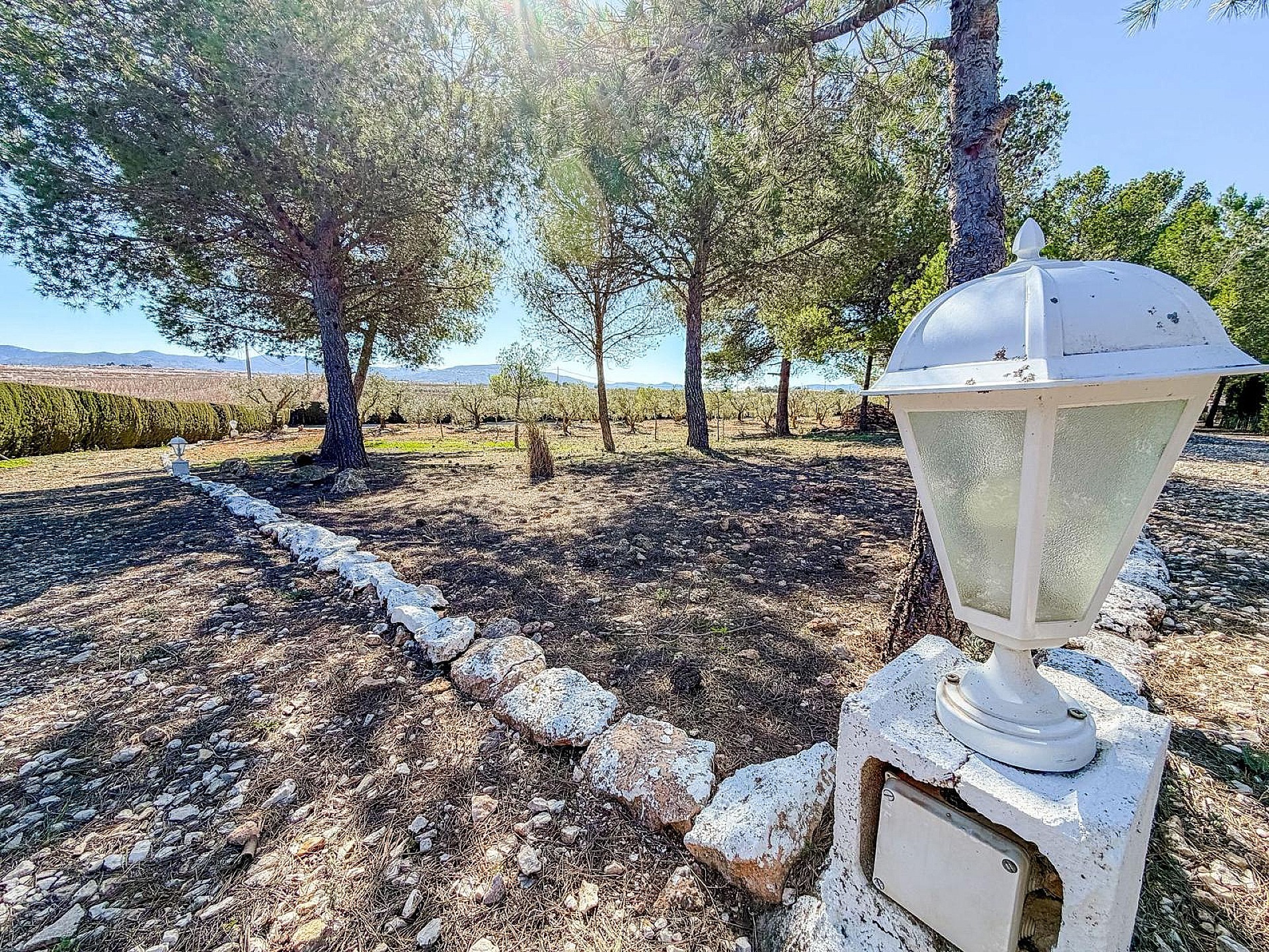 Resale - 6 Bedroom 2 Bathroom Country house in Pinoso -  - Alicante