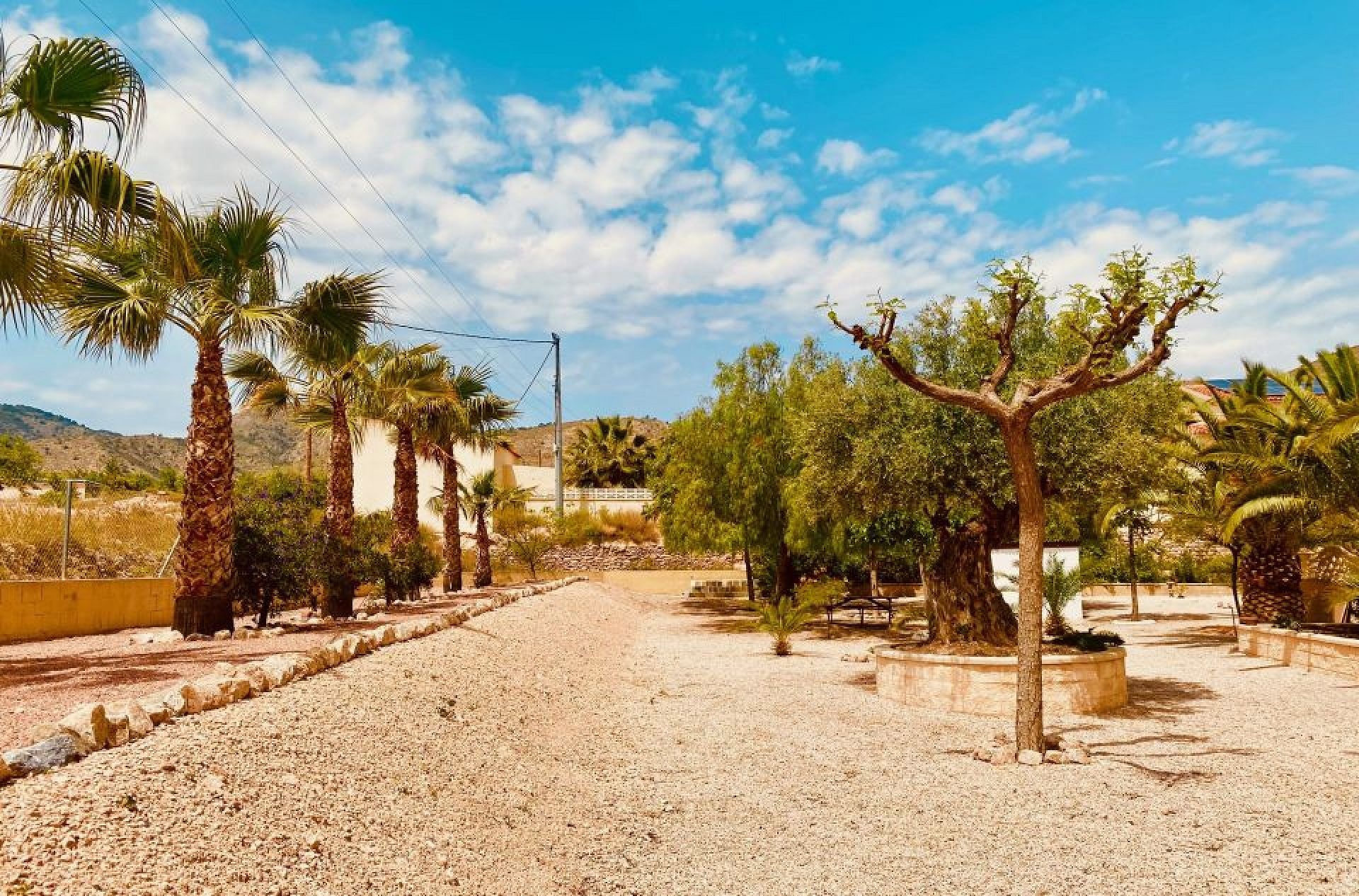 Resale - 4 Bedroom 3 Bathroom Villa in Macisvenda -  - Murcia