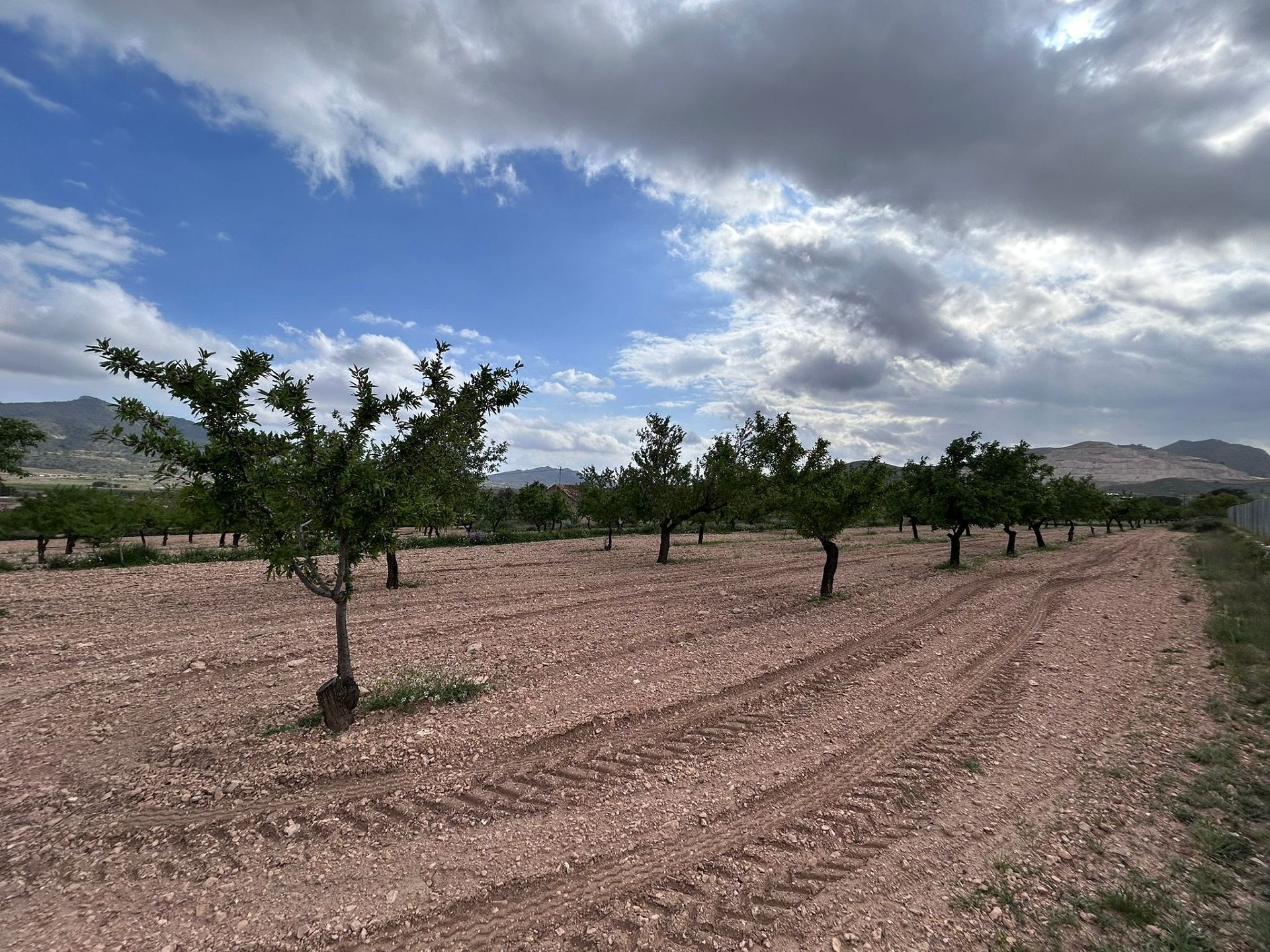 Resale - 5 Bedroom 2 Bathroom Restoration Project in Hondón de las Nieves -  - Alicante