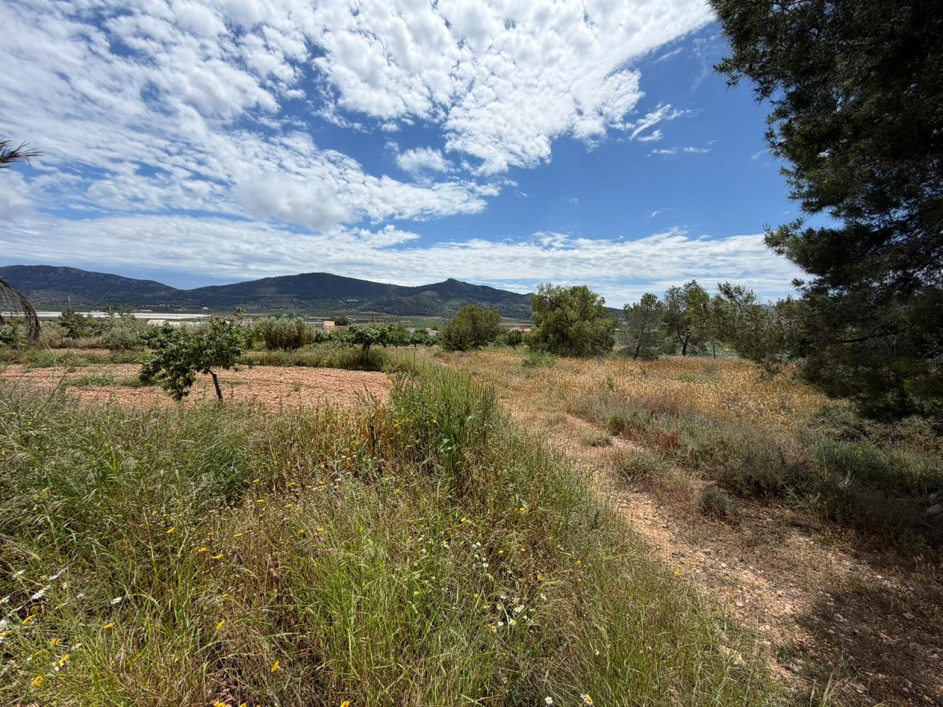 Resale - 5 Bedroom 2 Bathroom Restoration Project in Hondón de las Nieves -  - Alicante