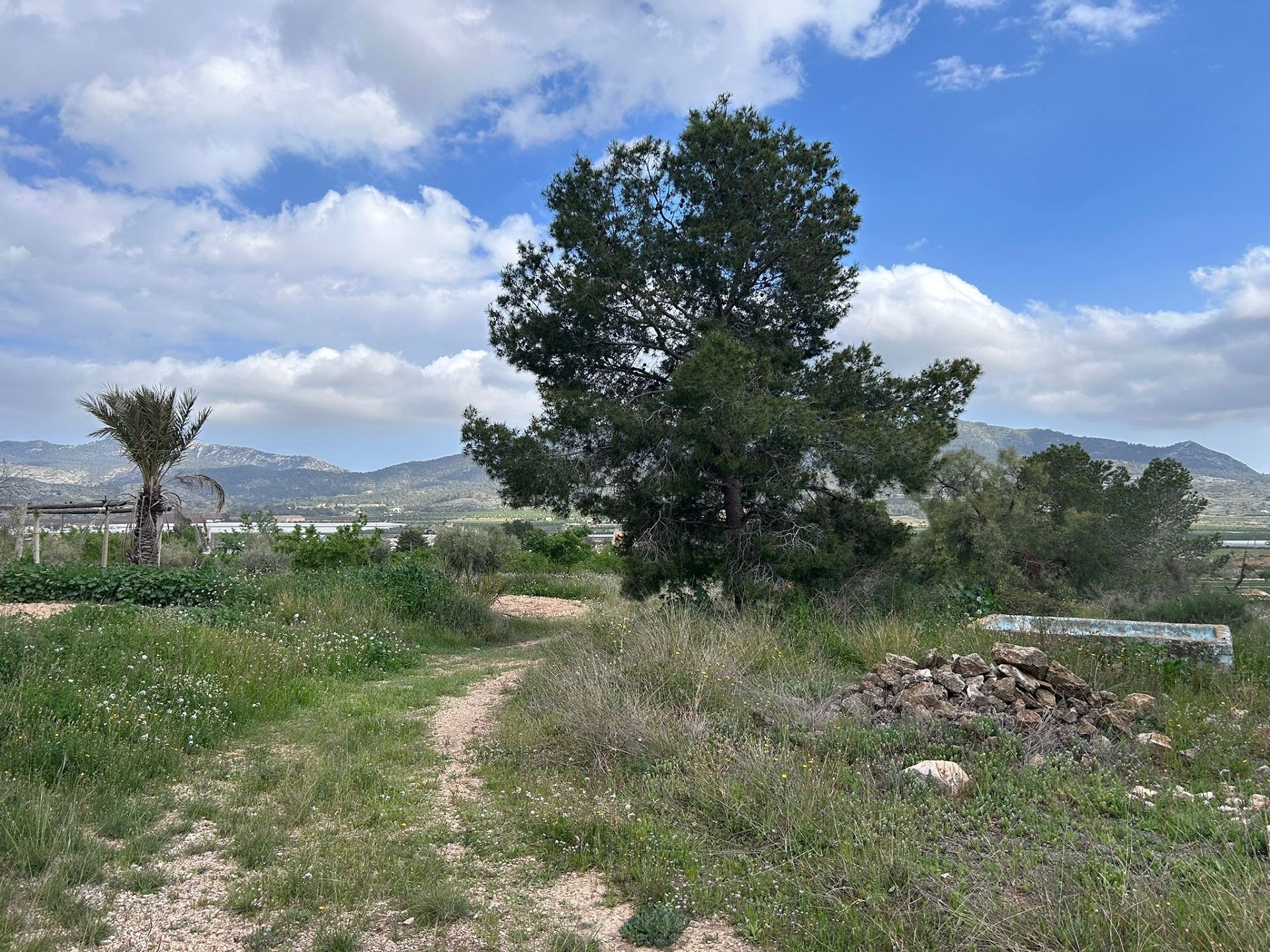 Resale - 5 Bedroom 2 Bathroom Restoration Project in Hondón de las Nieves -  - Alicante