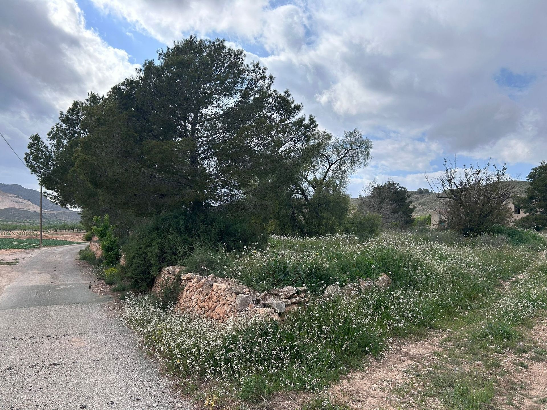 Resale - 5 Bedroom 2 Bathroom Restoration Project in Hondón de las Nieves -  - Alicante