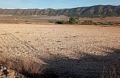 Land in Salinas
