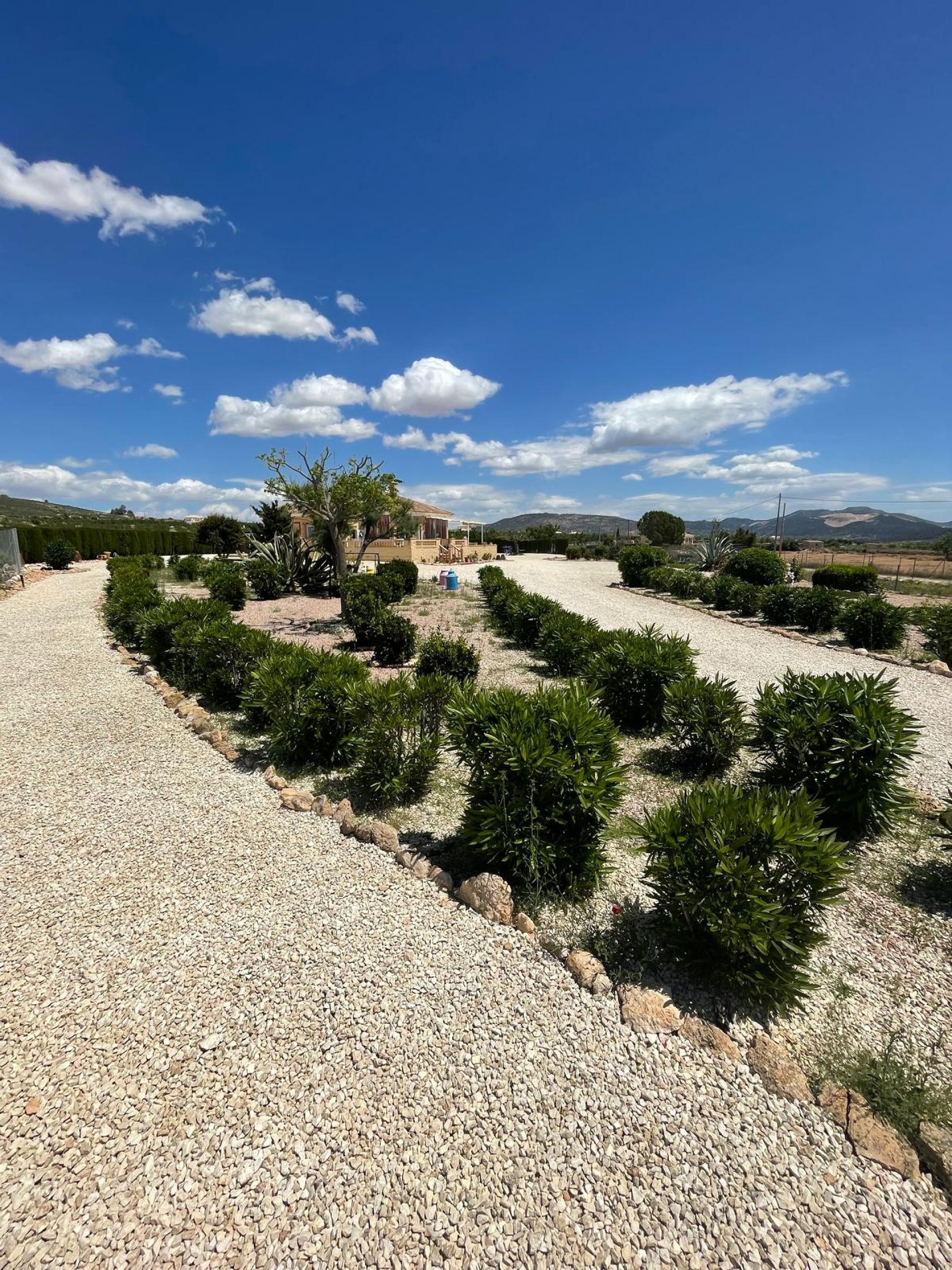 Resale - 4 Bedroom 3 Bathroom Villa in Pinoso -  - Alicante