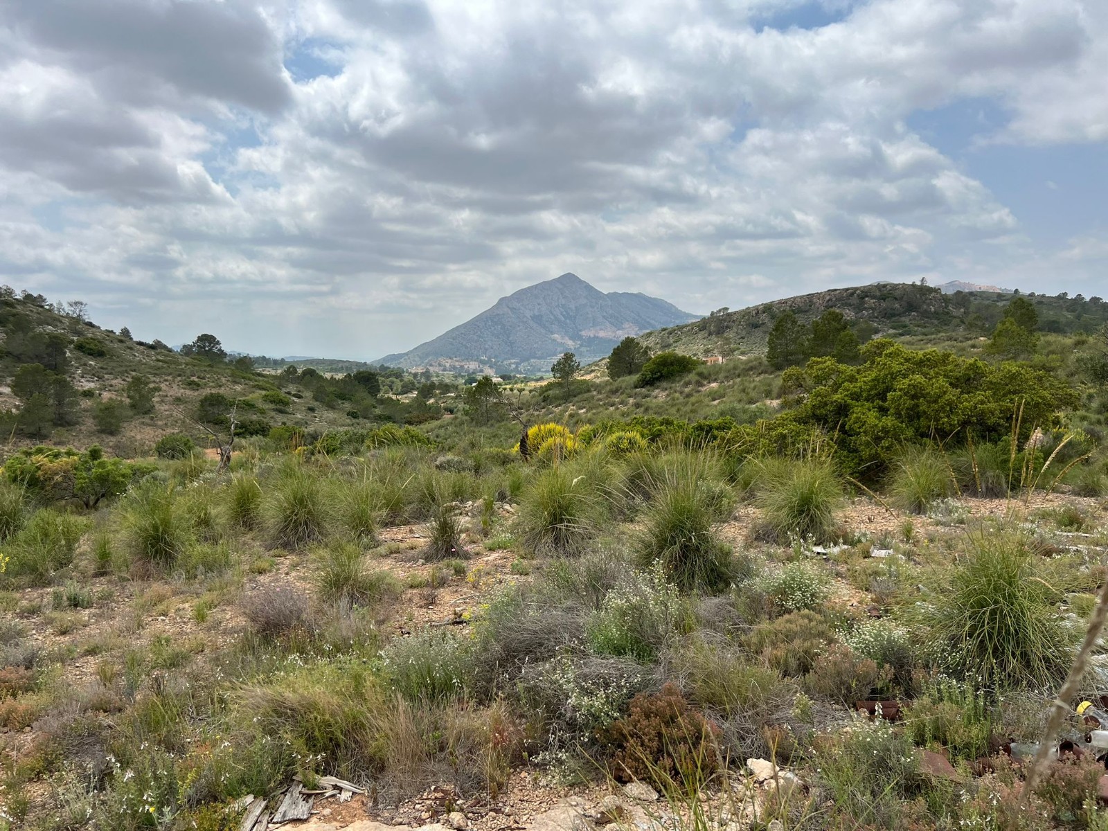 Resale - Land in Hondón de las Nieves -  - Alicante