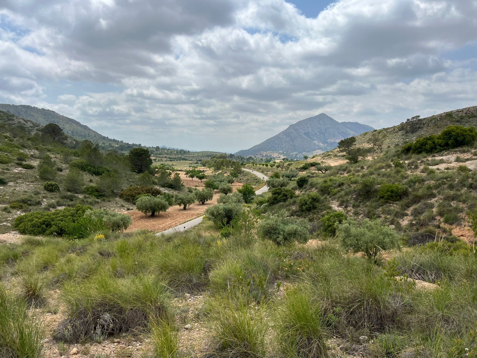 Resale - Land in Hondón de las Nieves -  - Alicante