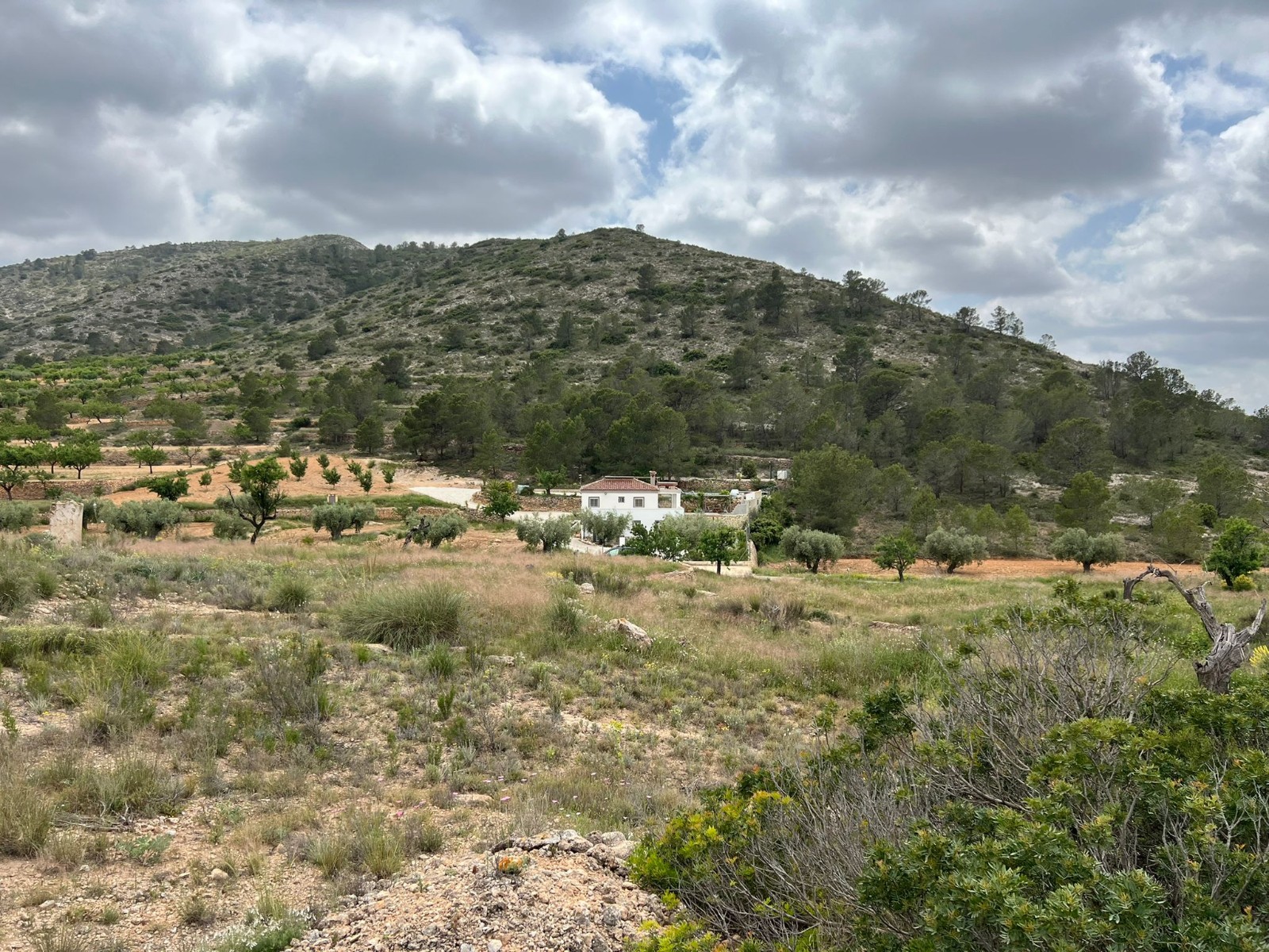 Resale - Land in Hondón de las Nieves -  - Alicante
