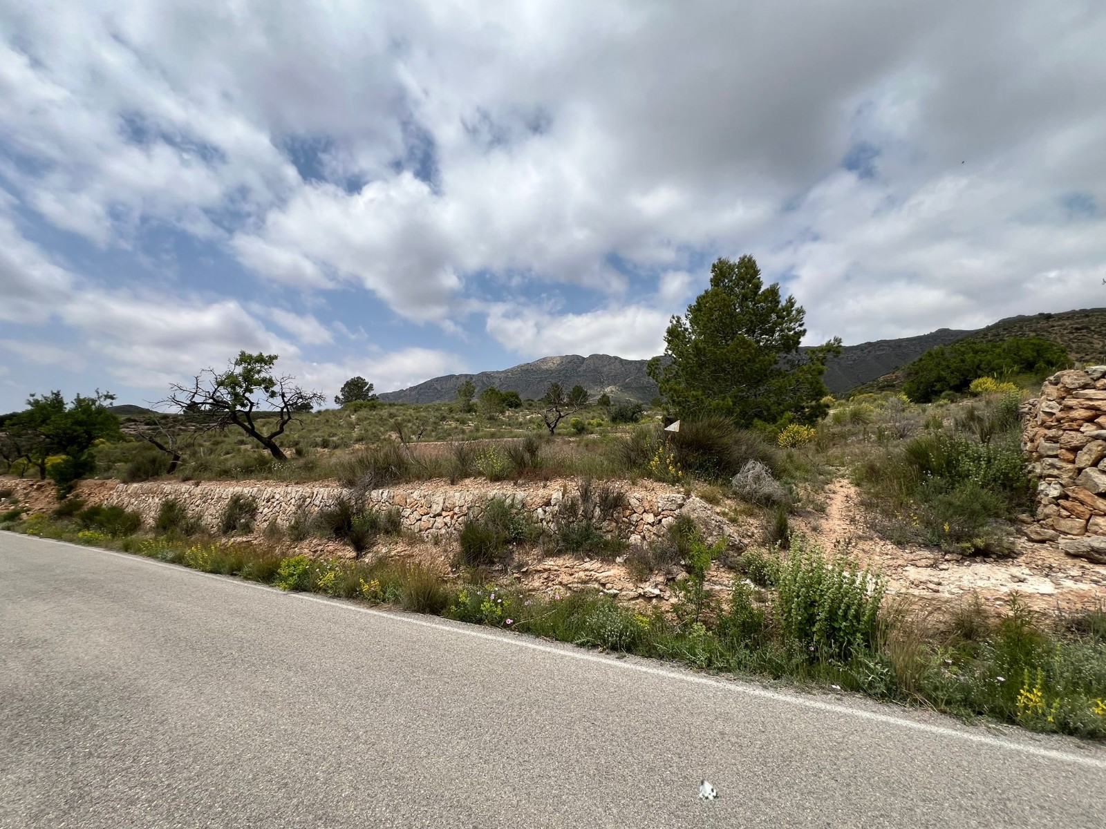 Resale - Land in Hondón de las Nieves -  - Alicante