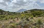 Land in Hondón de las Nieves